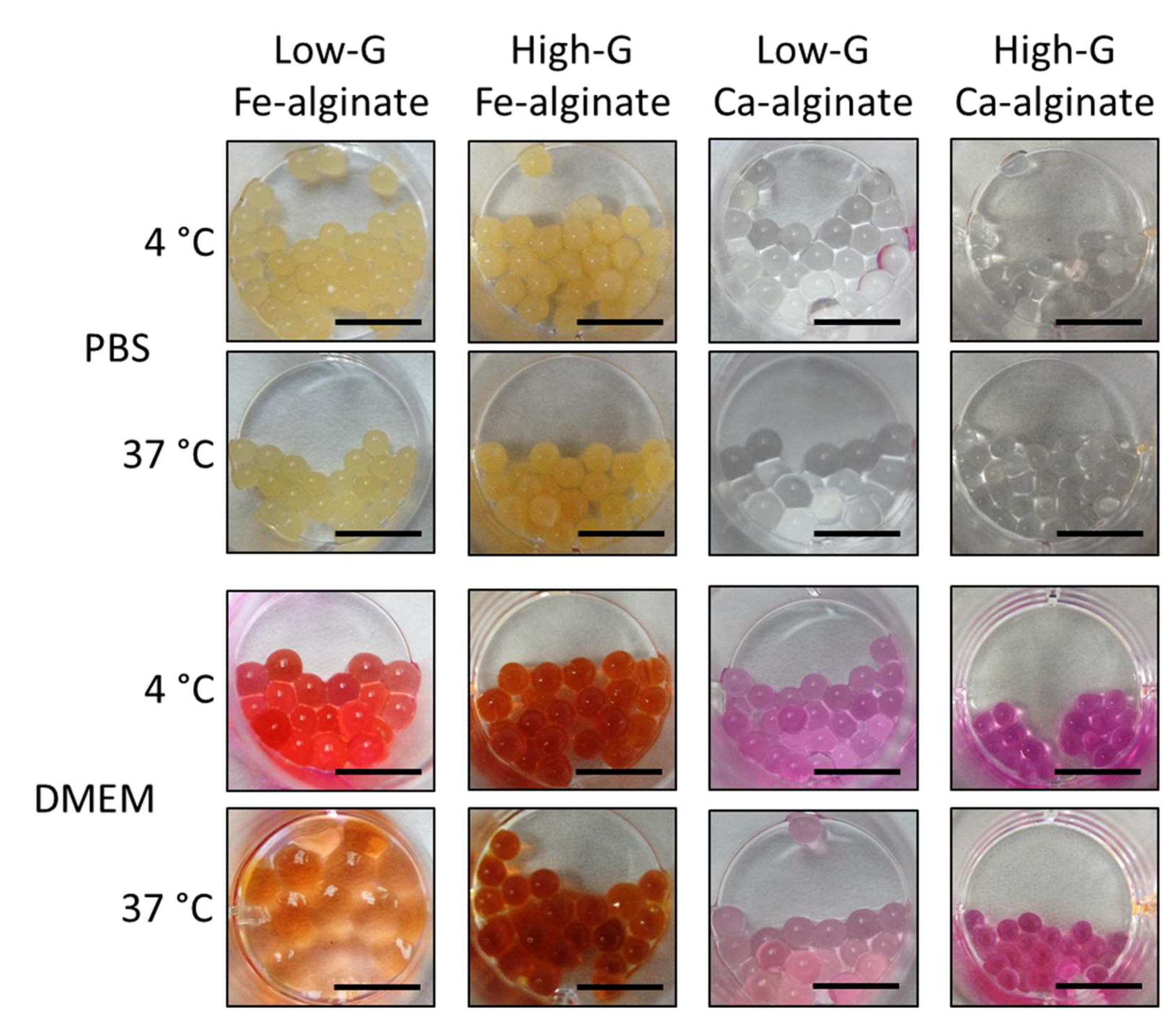 Bioengineering 10 00163 g003 Bioengineering 10 00163 g003