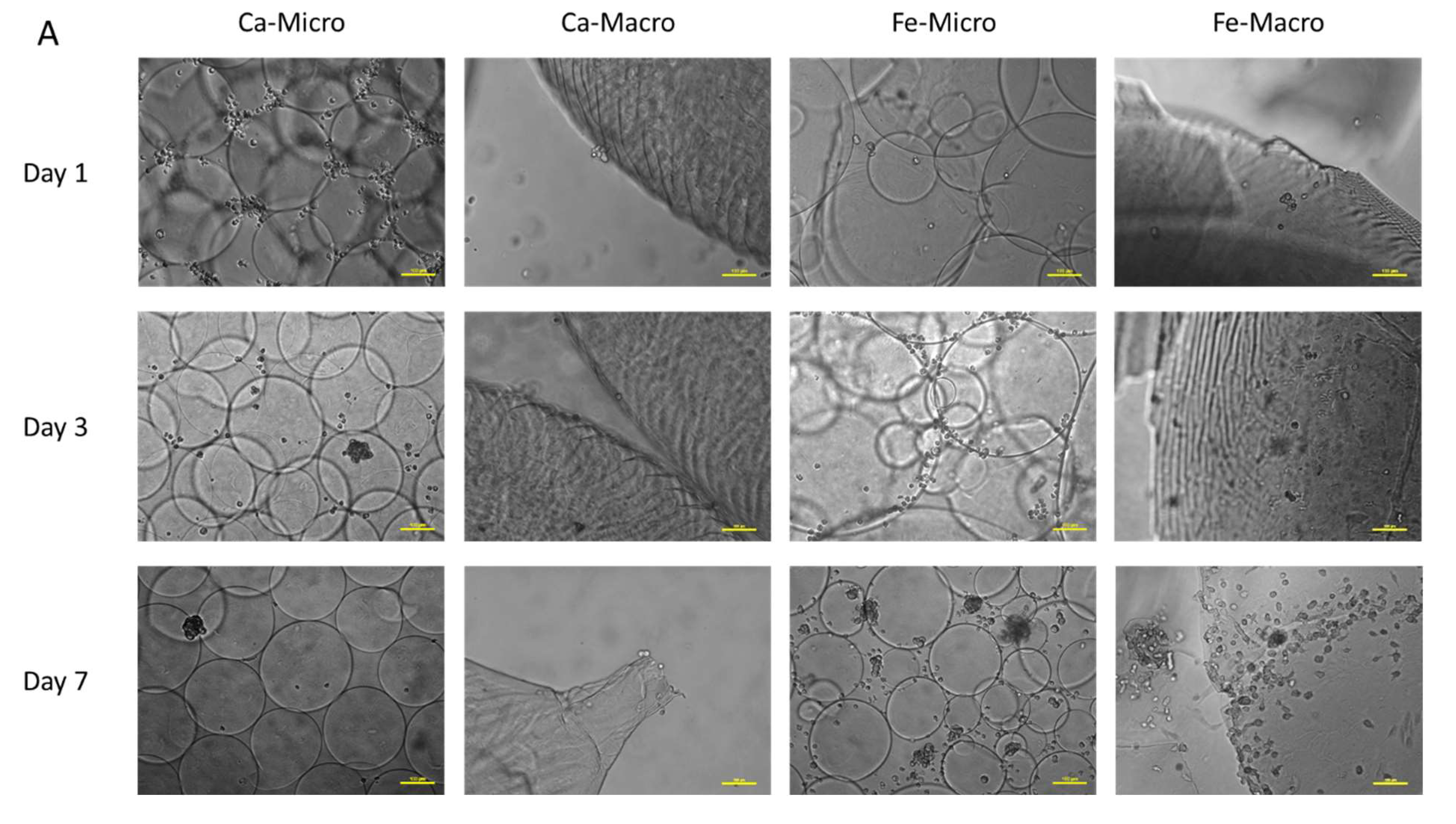 Bioengineering 10 00163 g008a Bioengineering 10 00163 g008a