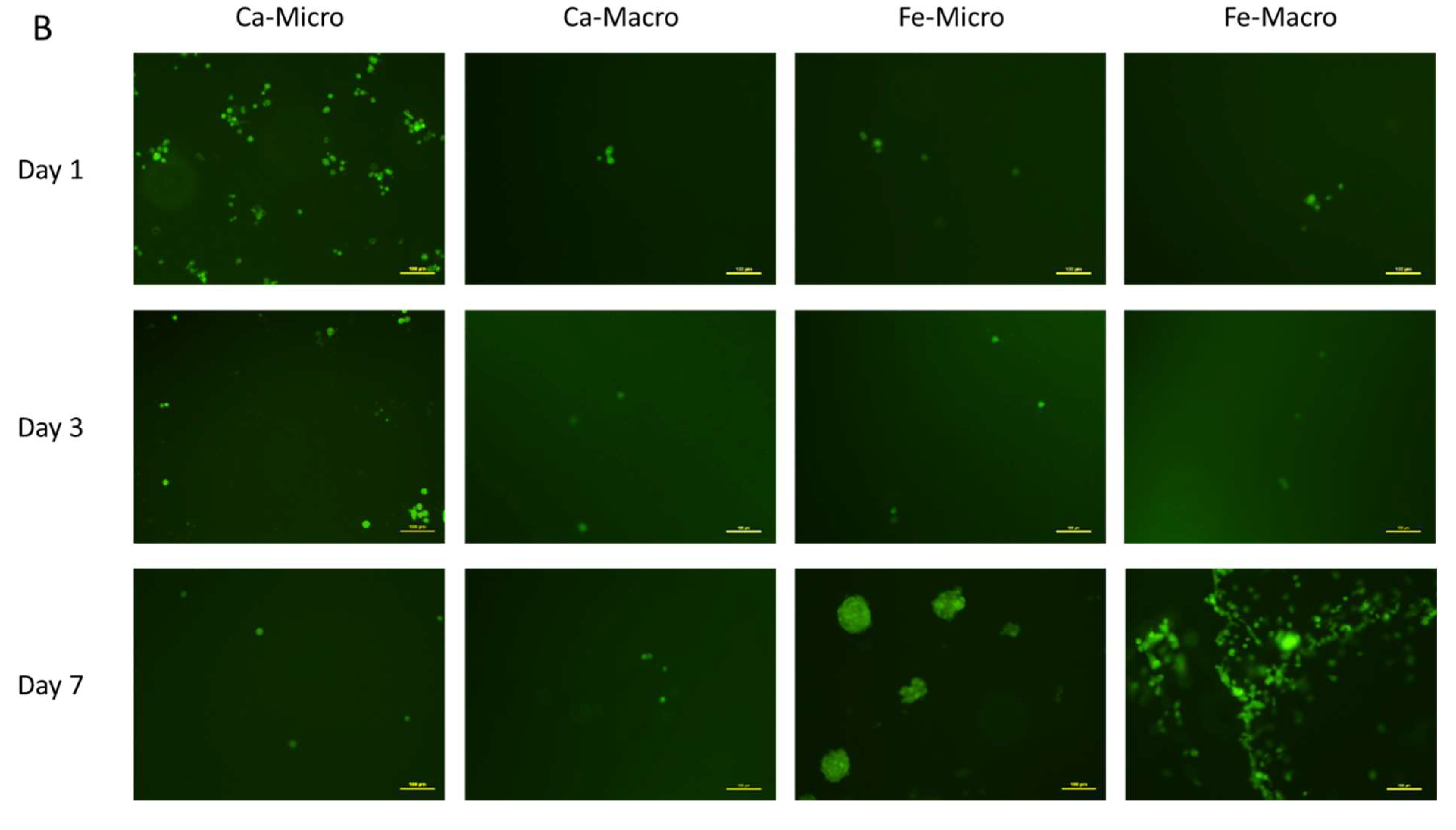 Bioengineering 10 00163 g008b Bioengineering 10 00163 g008b