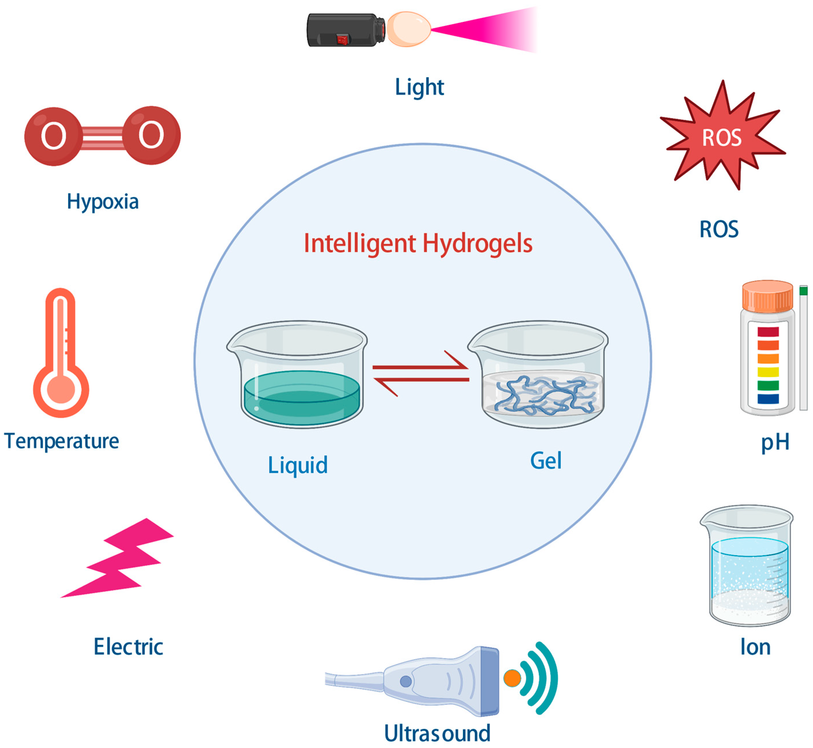 Bioengineering 10 00165 g002
