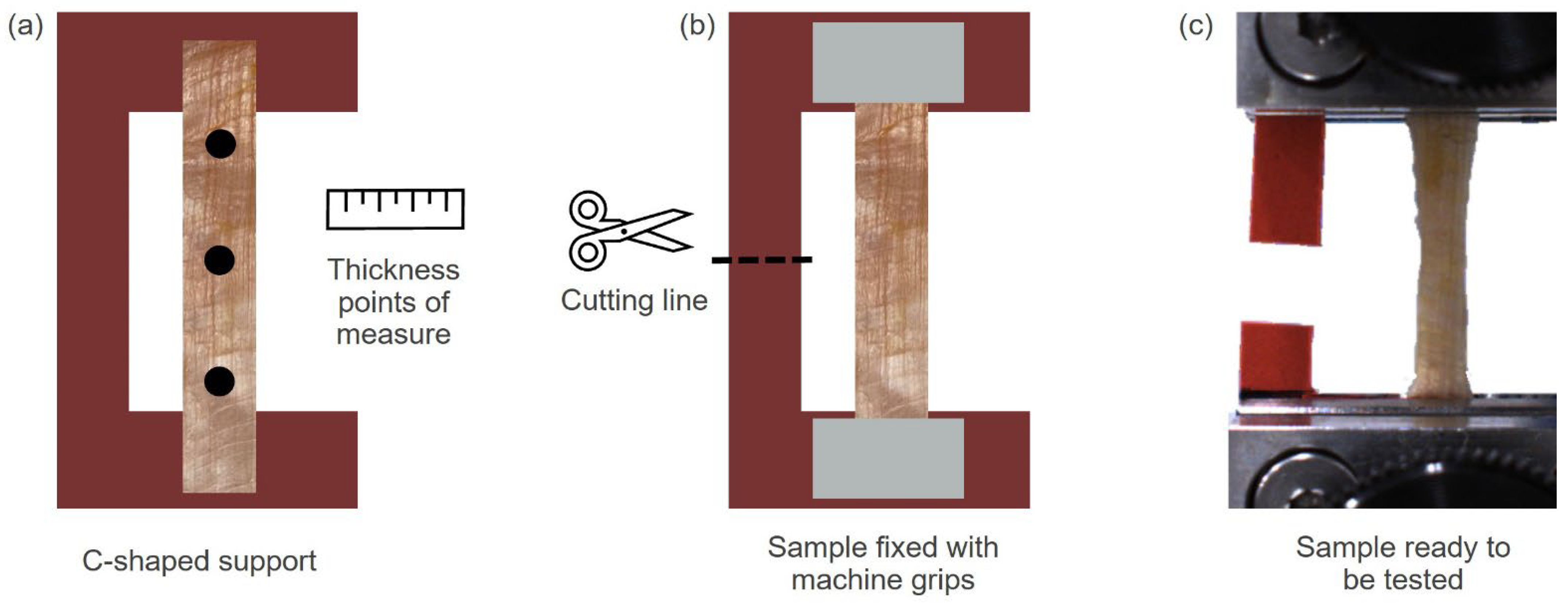 Bioengineering 10 00226 g002