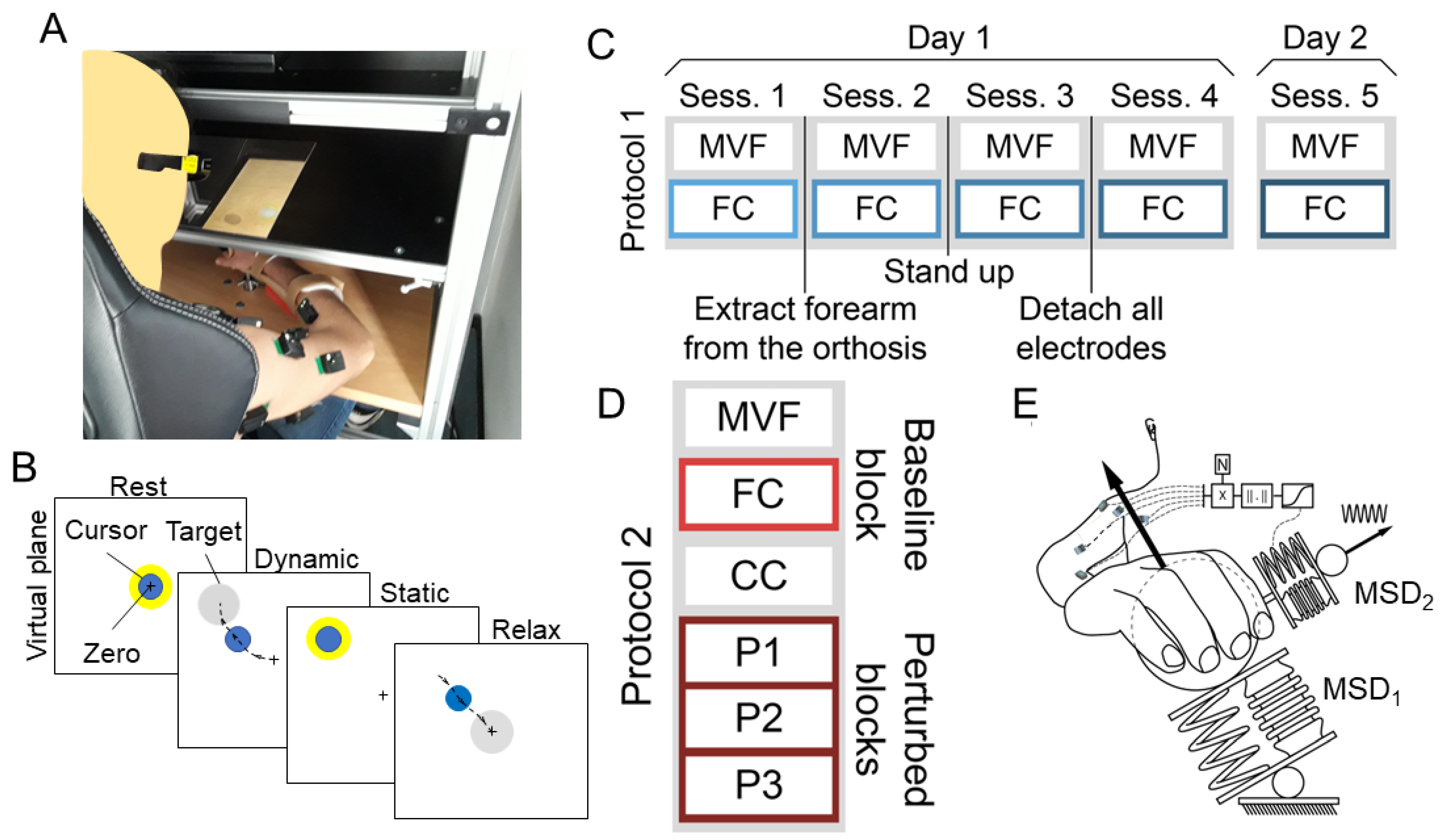 Bioengineering 10 00234 g001 Bioengineering 10 00234 g001