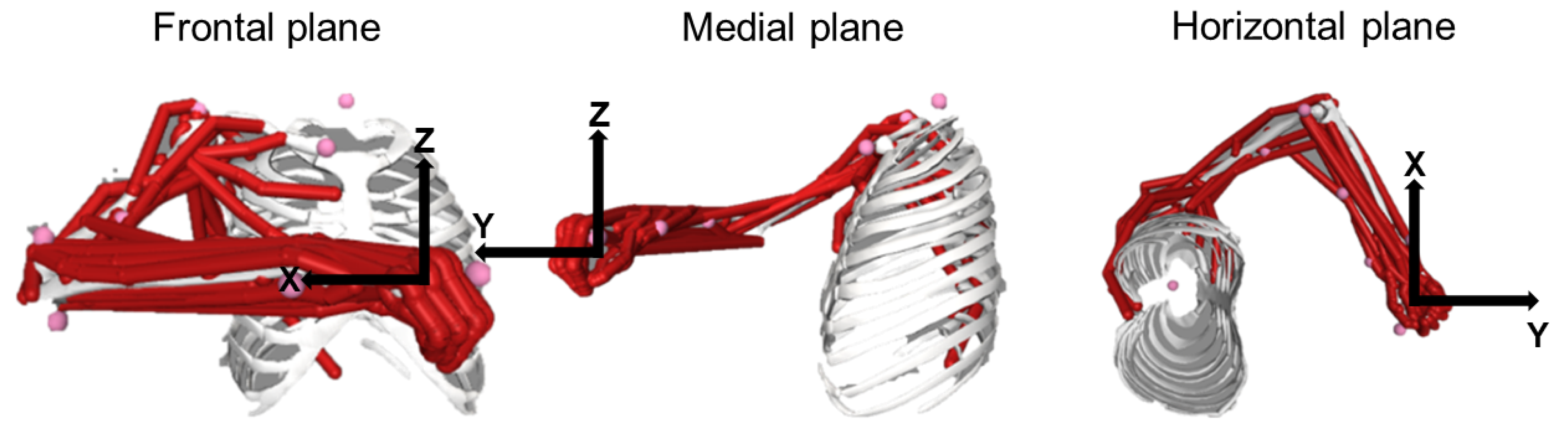 Bioengineering 10 00234 g002 Bioengineering 10 00234 g002