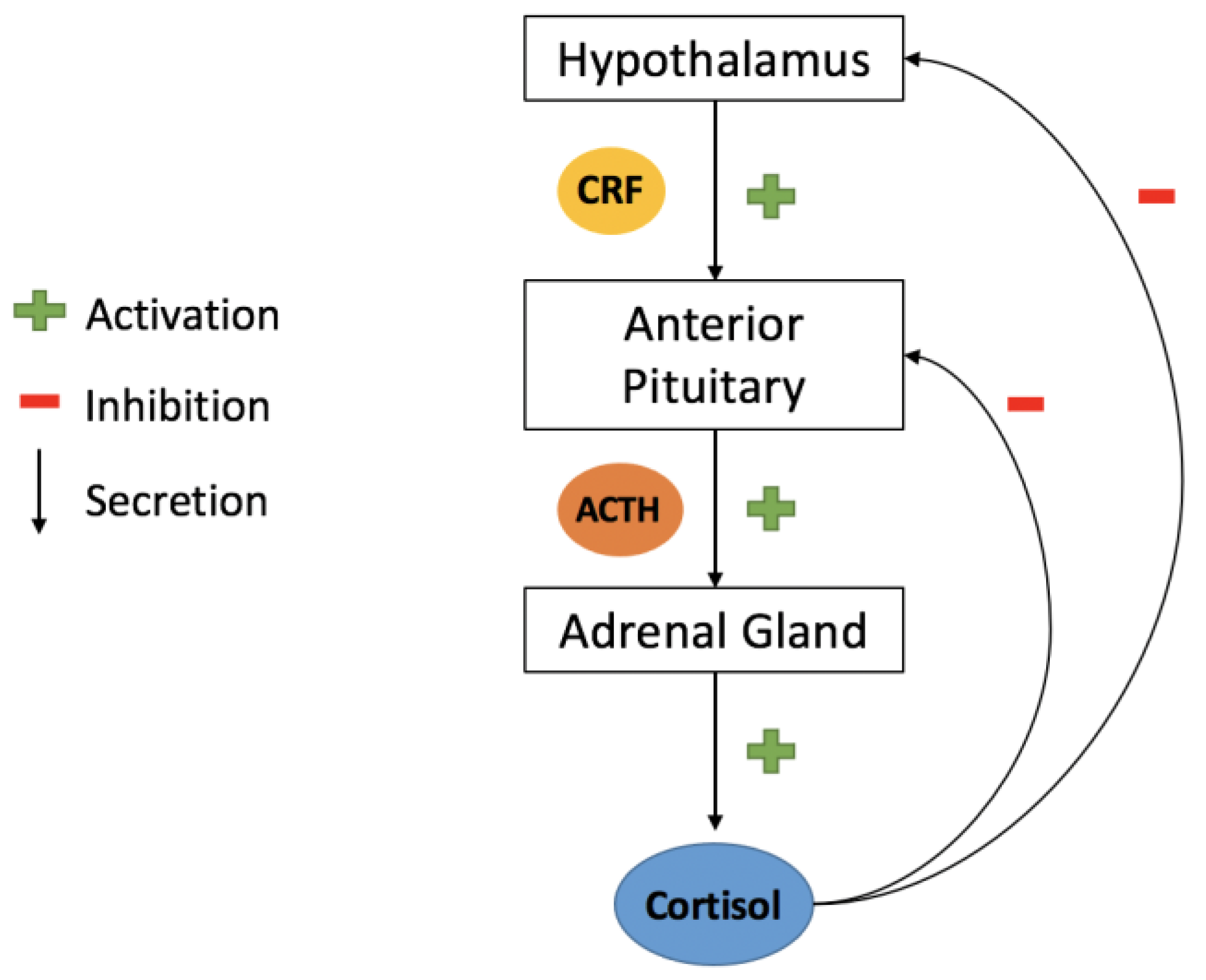 Bioengineering 10 00258 g002 Bioengineering 10 00258 g002
