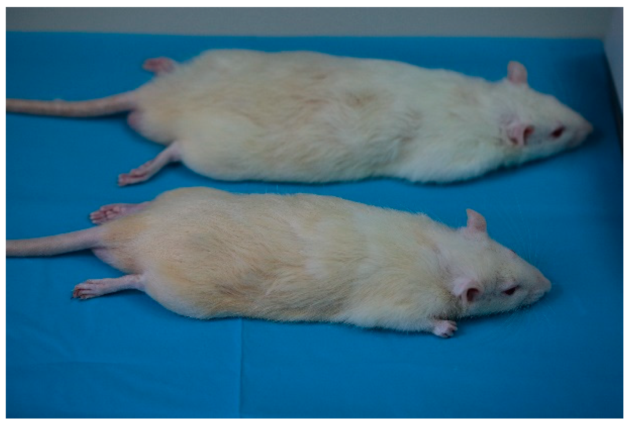 Bioengineering 10 00273 g001 Bioengineering 10 00273 g001