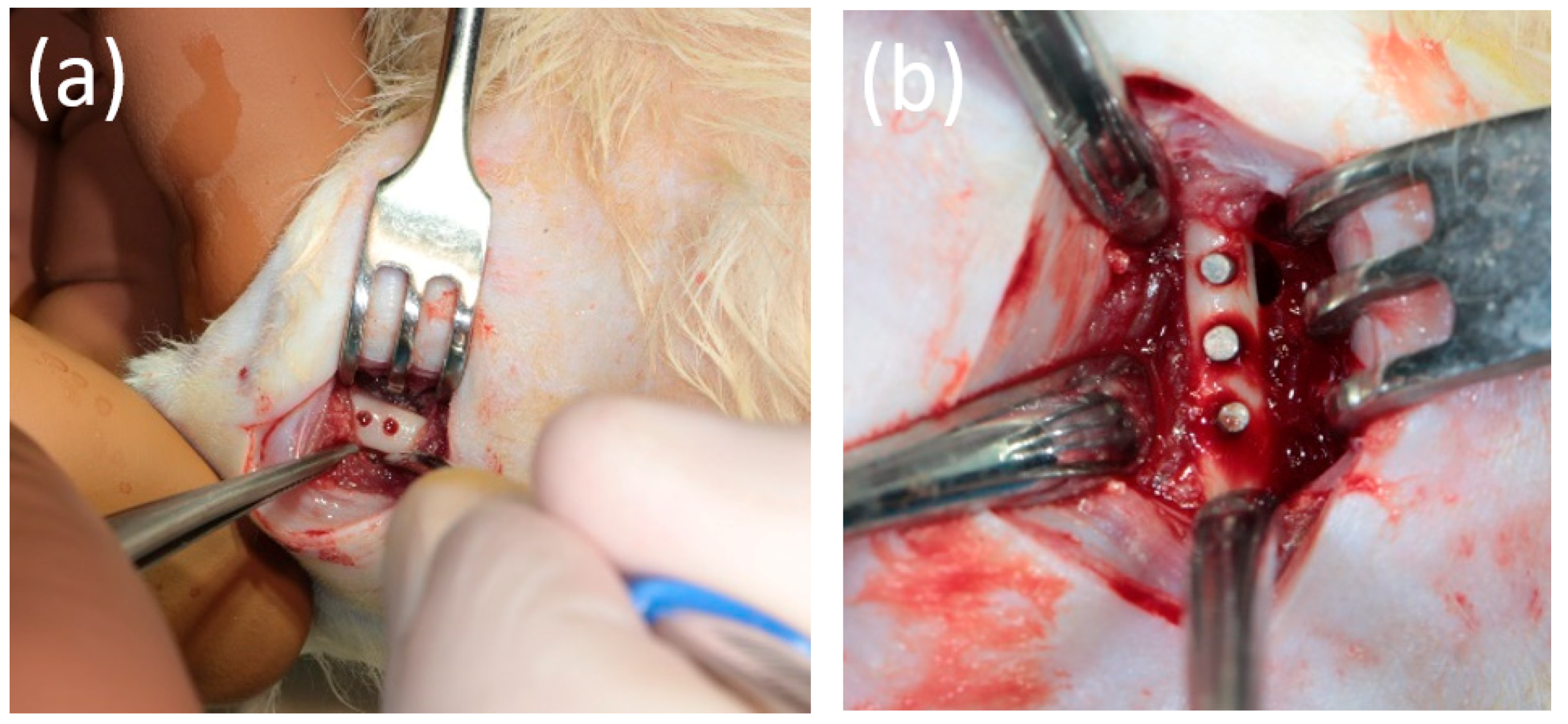 Bioengineering 10 00273 g003 Bioengineering 10 00273 g003