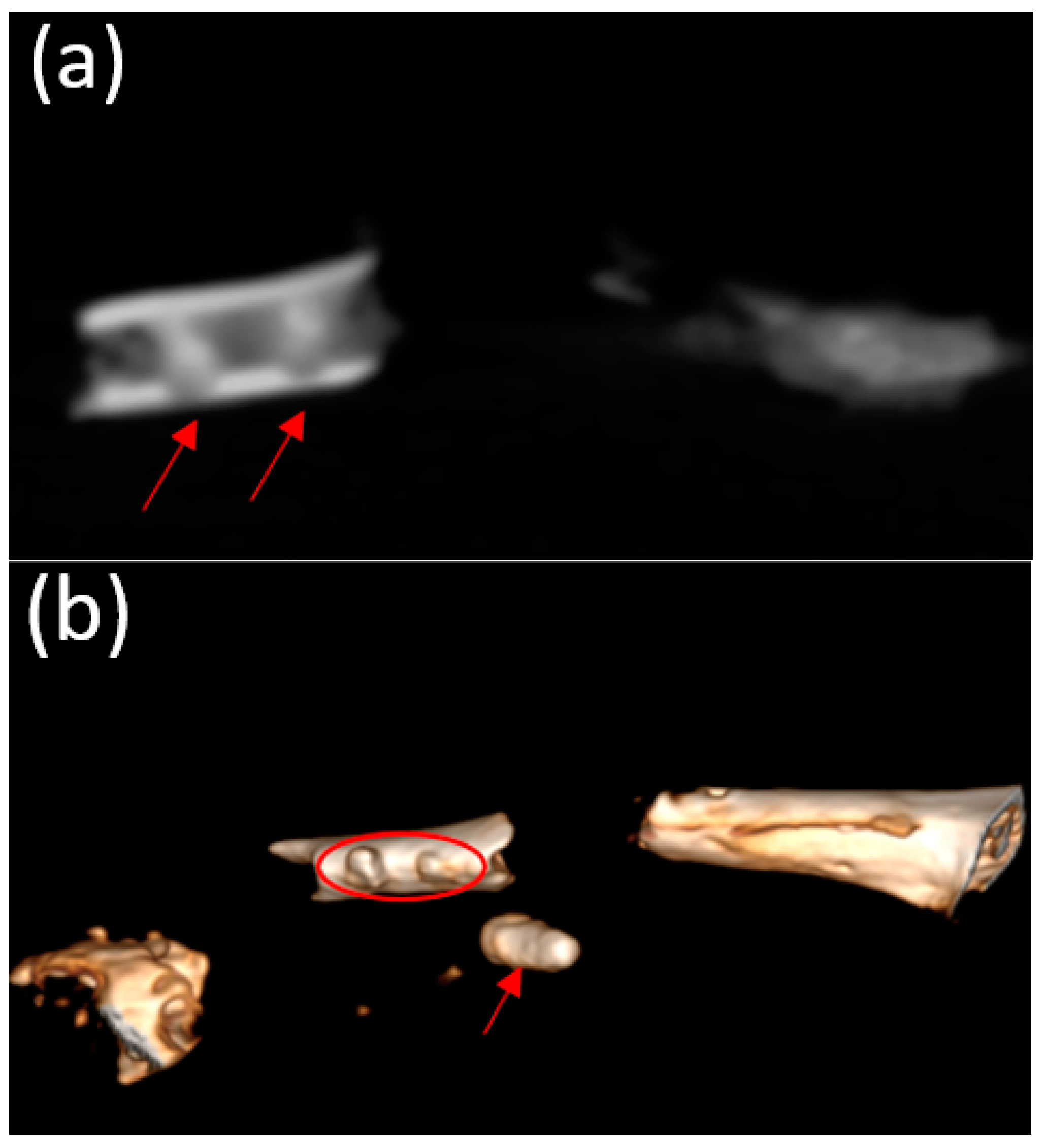 Bioengineering 10 00273 g008 Bioengineering 10 00273 g008