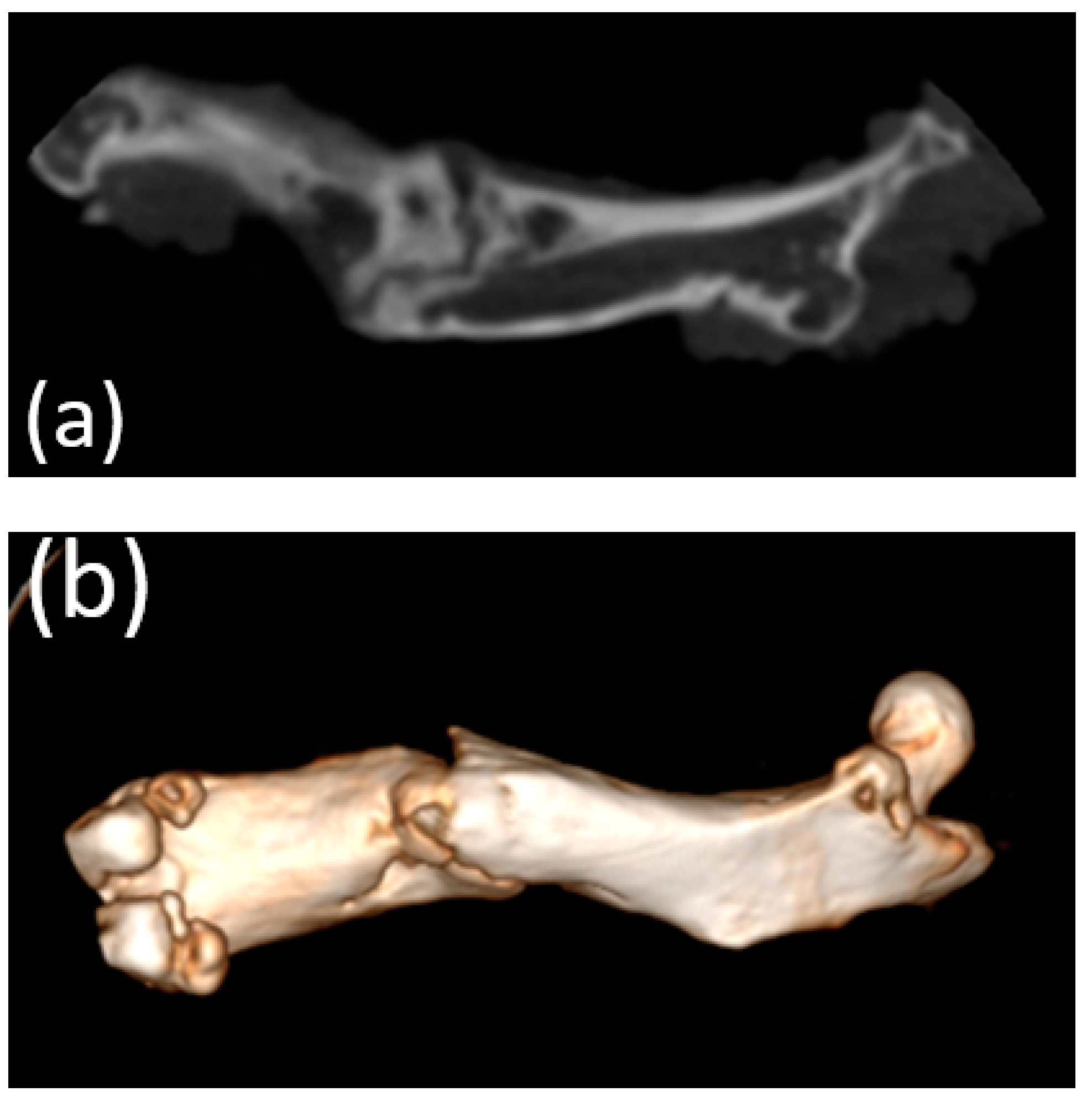 Bioengineering 10 00273 g009 Bioengineering 10 00273 g009
