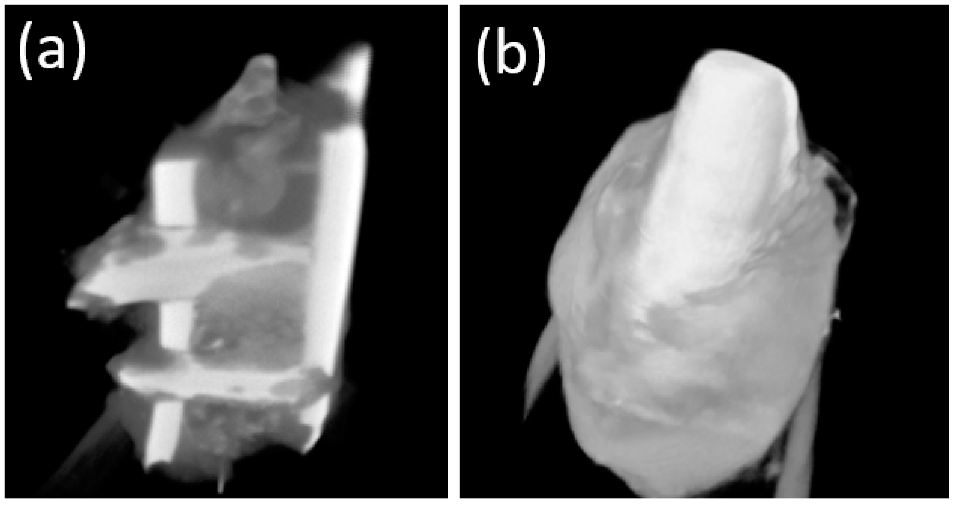 Bioengineering 10 00273 g011 Bioengineering 10 00273 g011