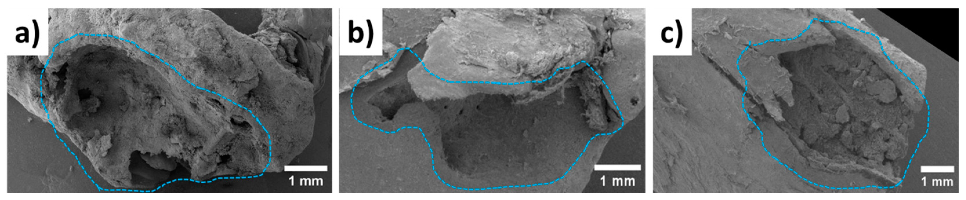 Bioengineering 10 00273 g014 Bioengineering 10 00273 g014