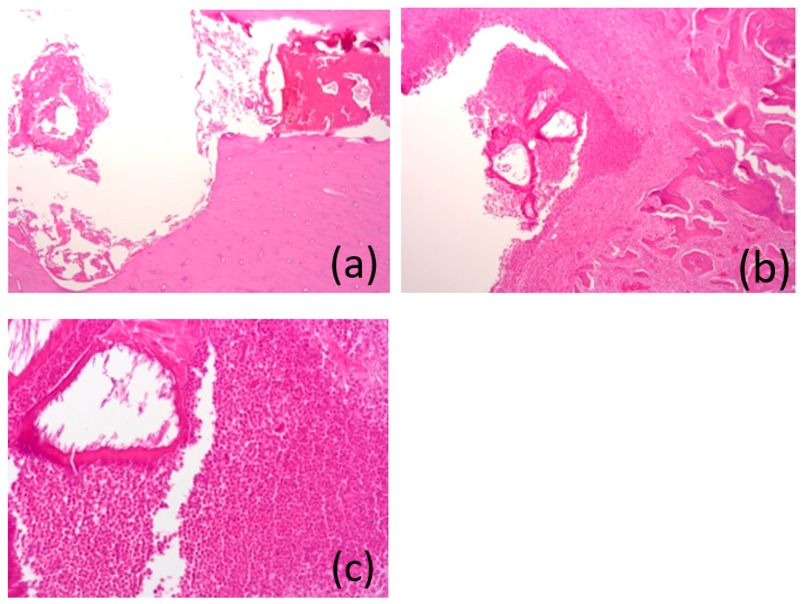Bioengineering 10 00273 g015 Bioengineering 10 00273 g015