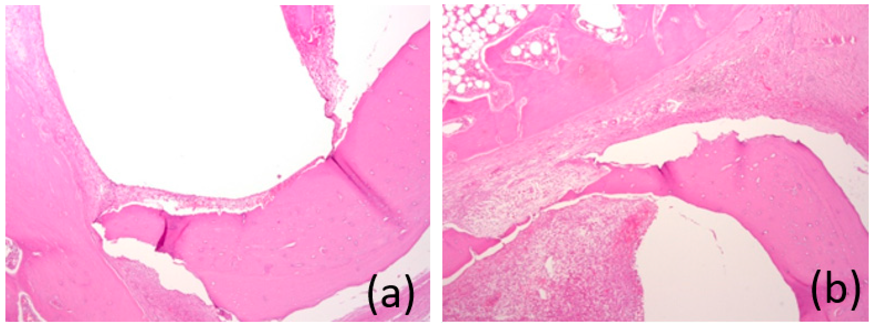 Bioengineering 10 00273 g017 Bioengineering 10 00273 g017