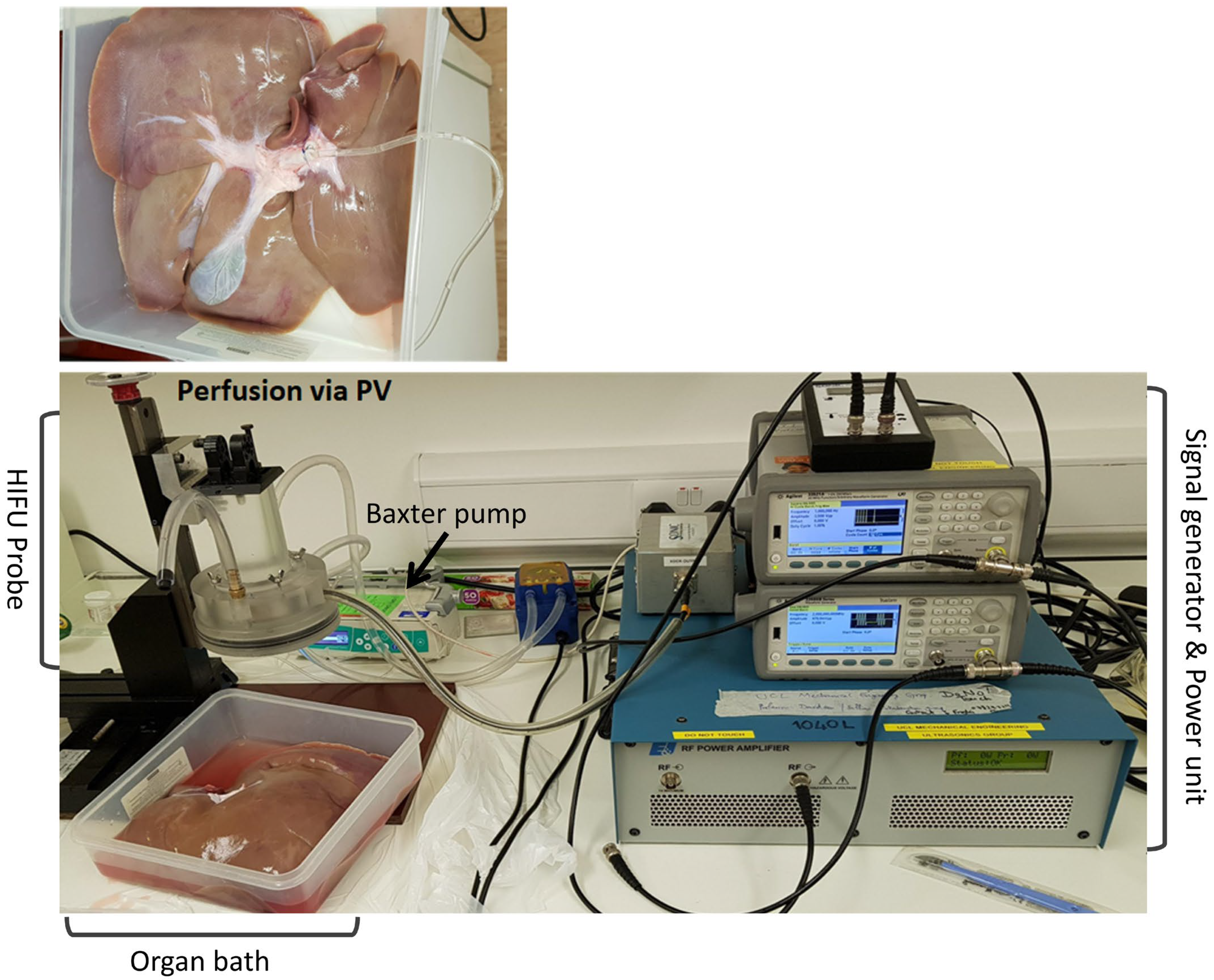 Bioengineering 10 00276 g002 Bioengineering 10 00276 g002