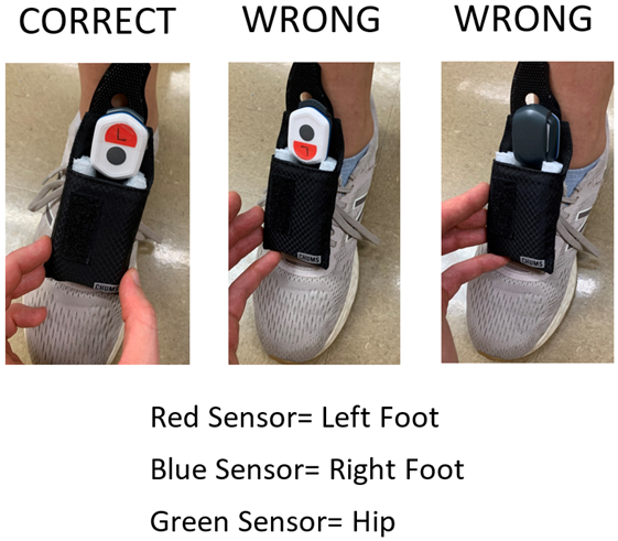 Bioengineering 10 00289 i004