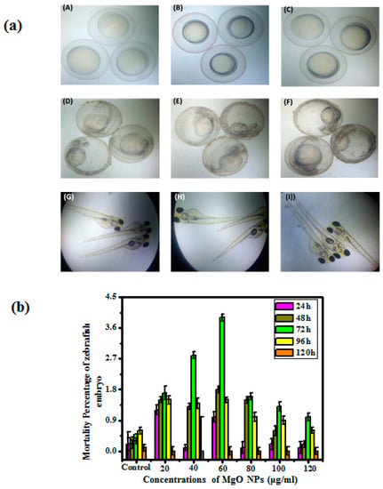 Bioengineering Free Full Text Green Synthesis of Magnesium  