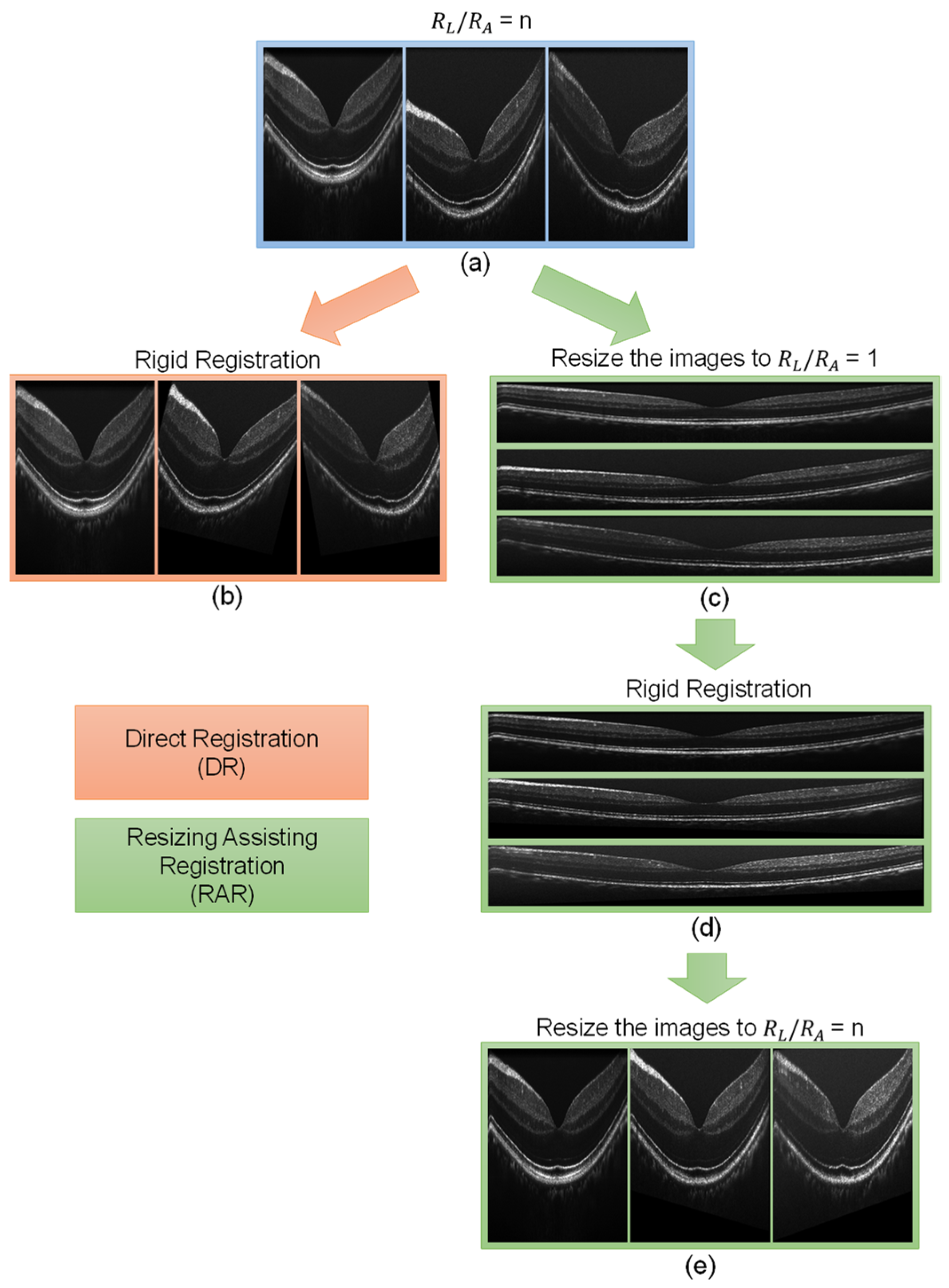 Bioengineering 10 00313 g007