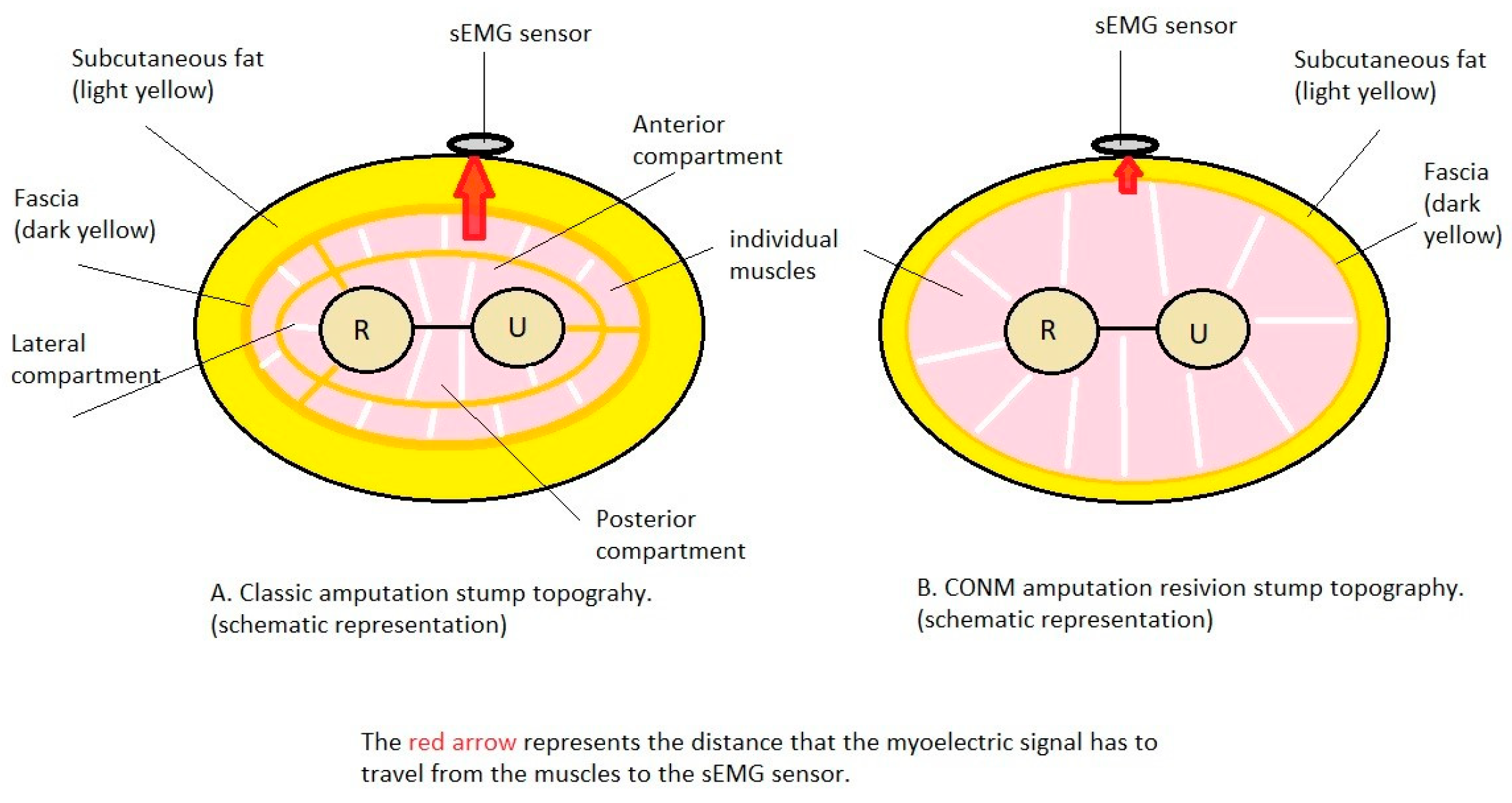Bioengineering 10 00319 g005 Bioengineering 10 00319 g005
