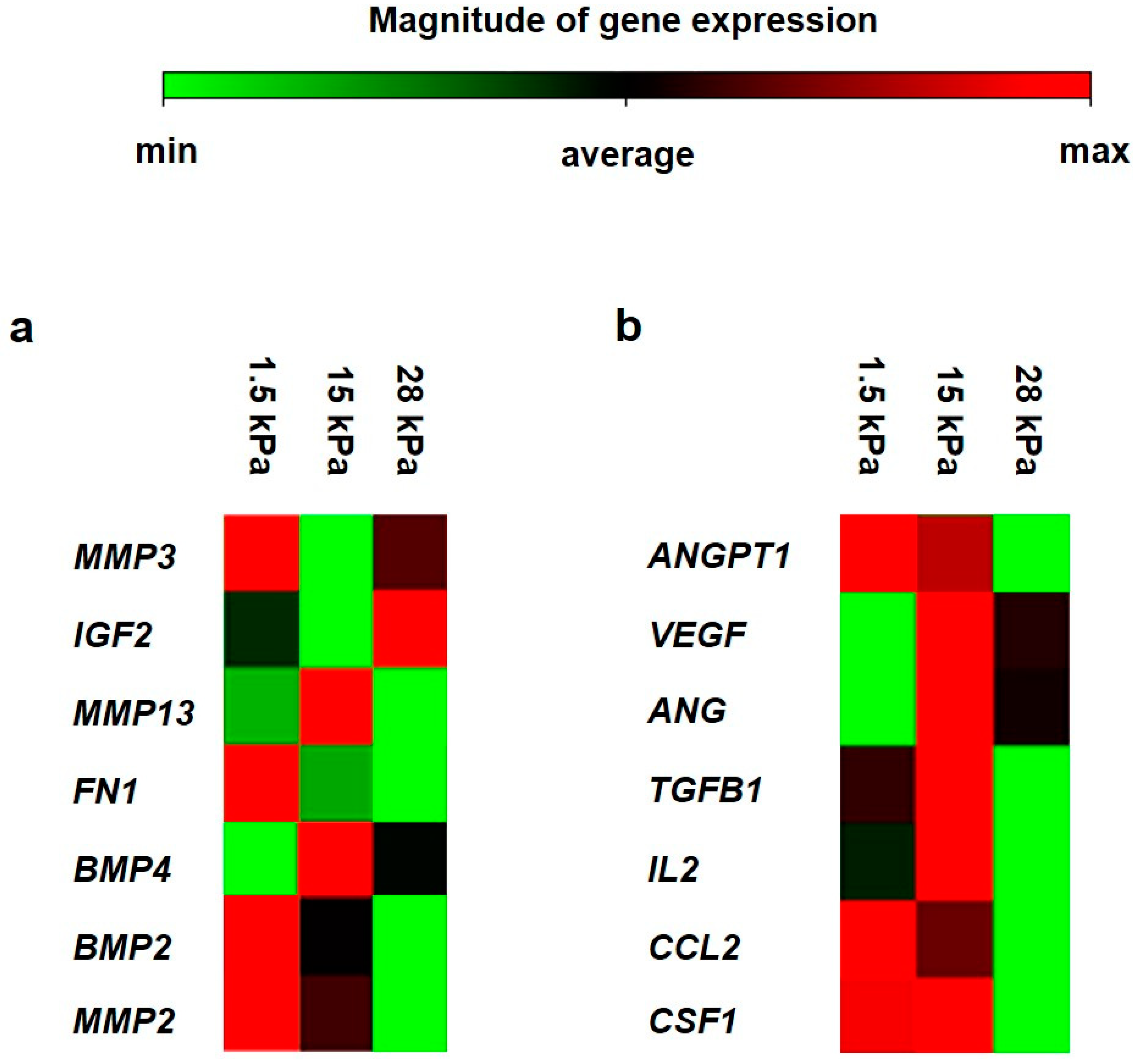 Bioengineering 10 00323 g006 Bioengineering 10 00323 g006