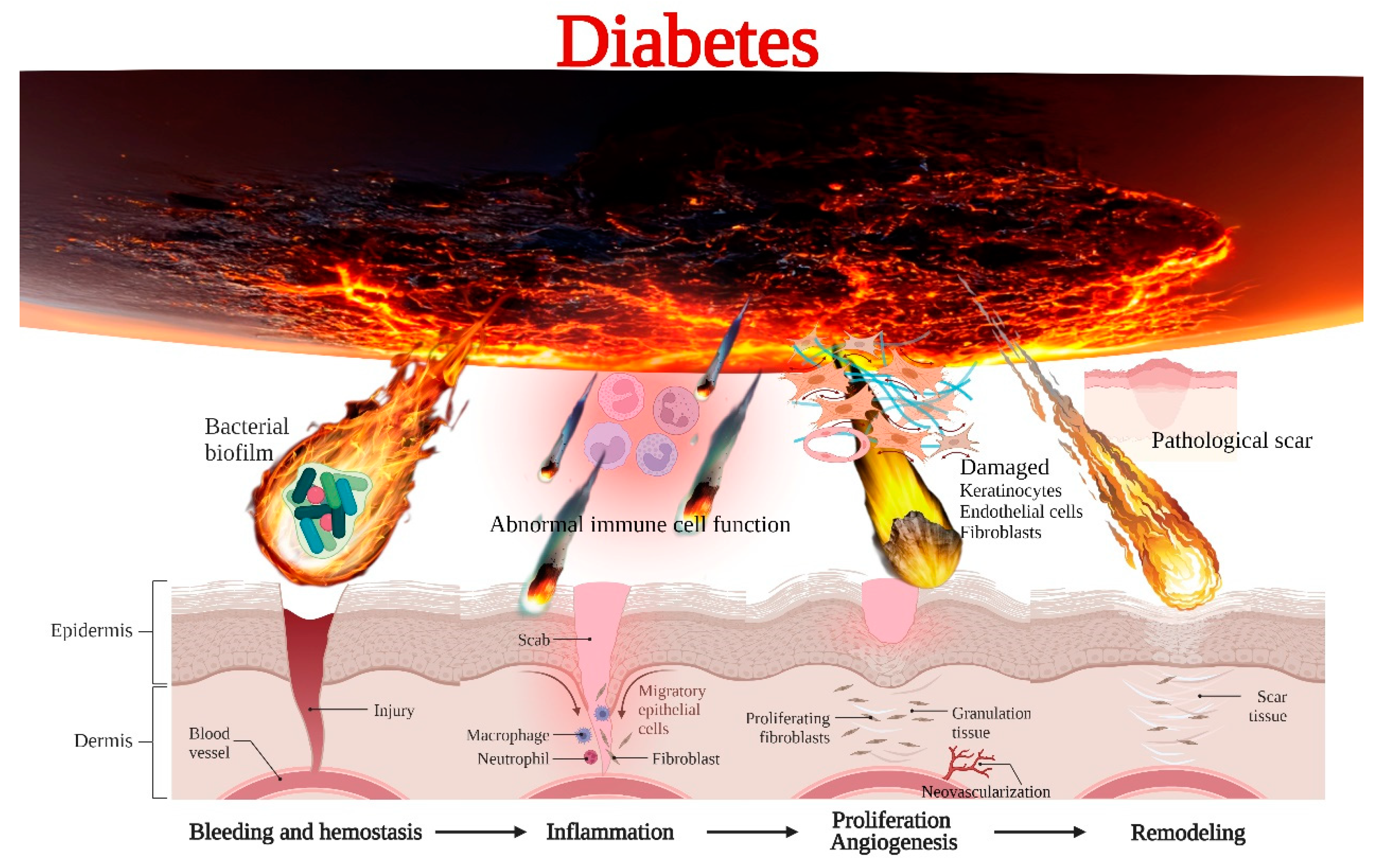 Bioengineering 10 00330 g002 Bioengineering 10 00330 g002