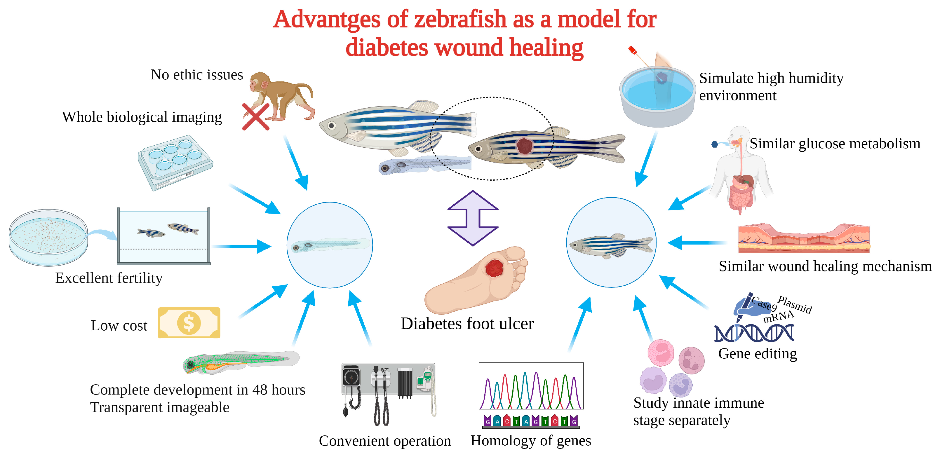 Bioengineering 10 00330 g003 Bioengineering 10 00330 g003