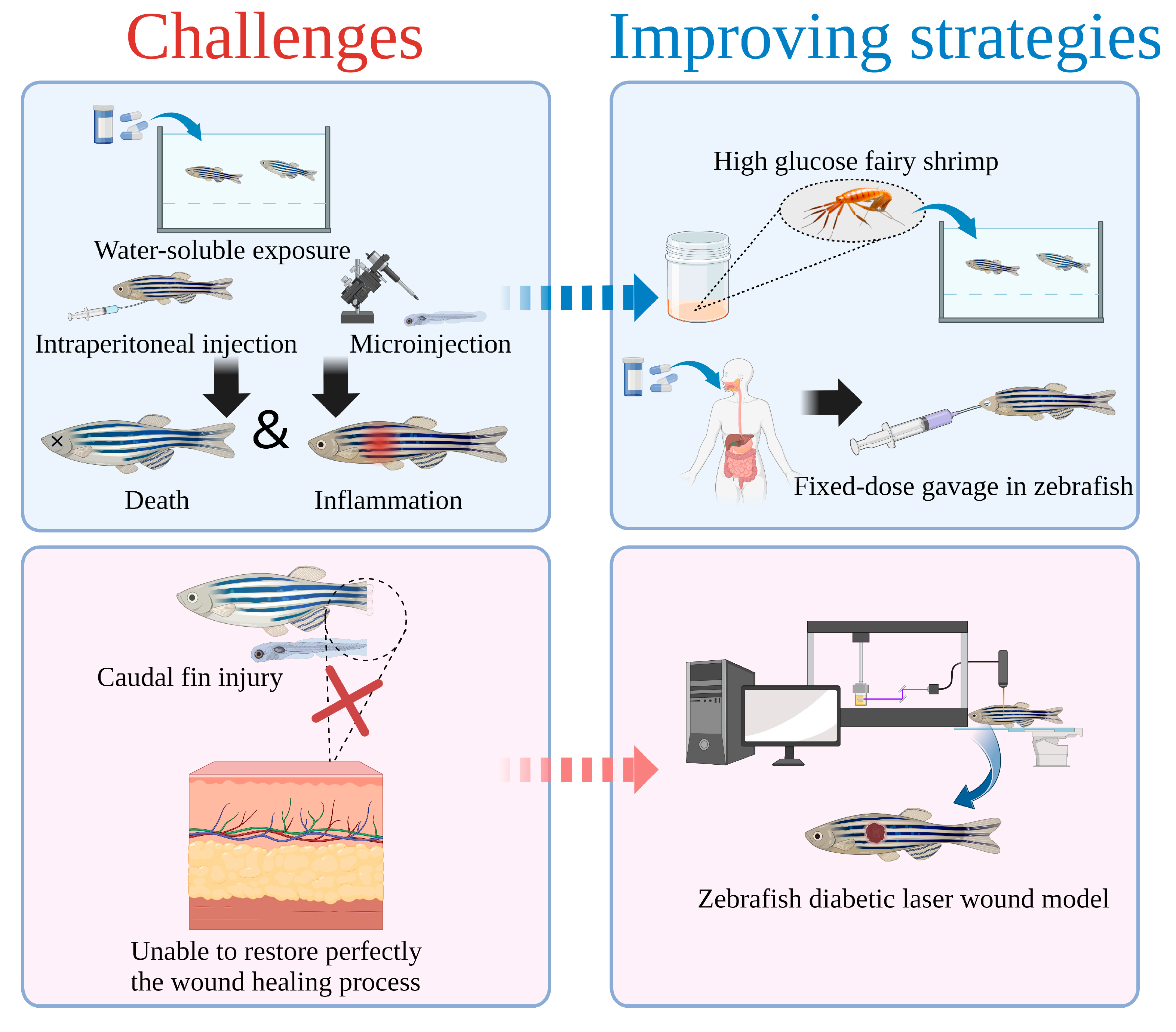 Bioengineering 10 00330 g005 Bioengineering 10 00330 g005