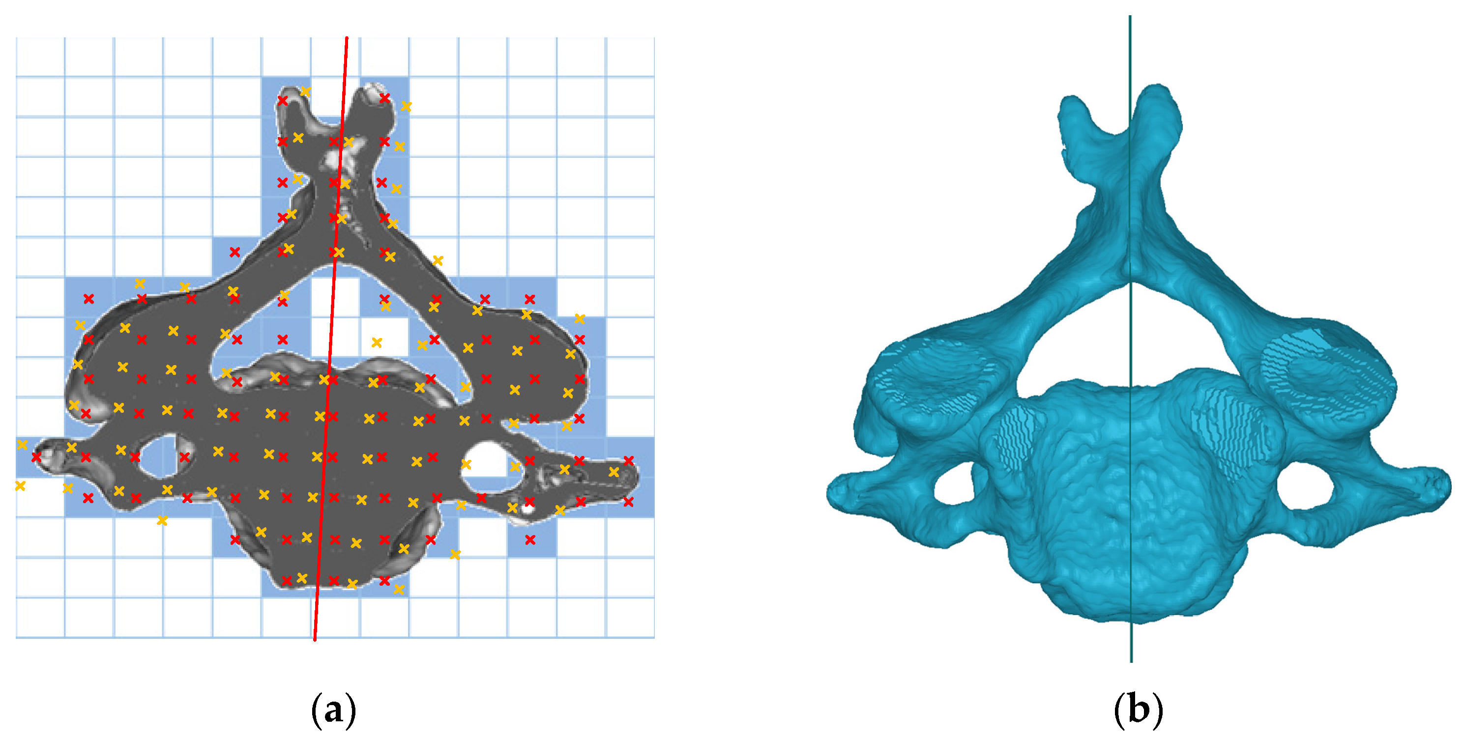 Bioengineering 10 00335 g001