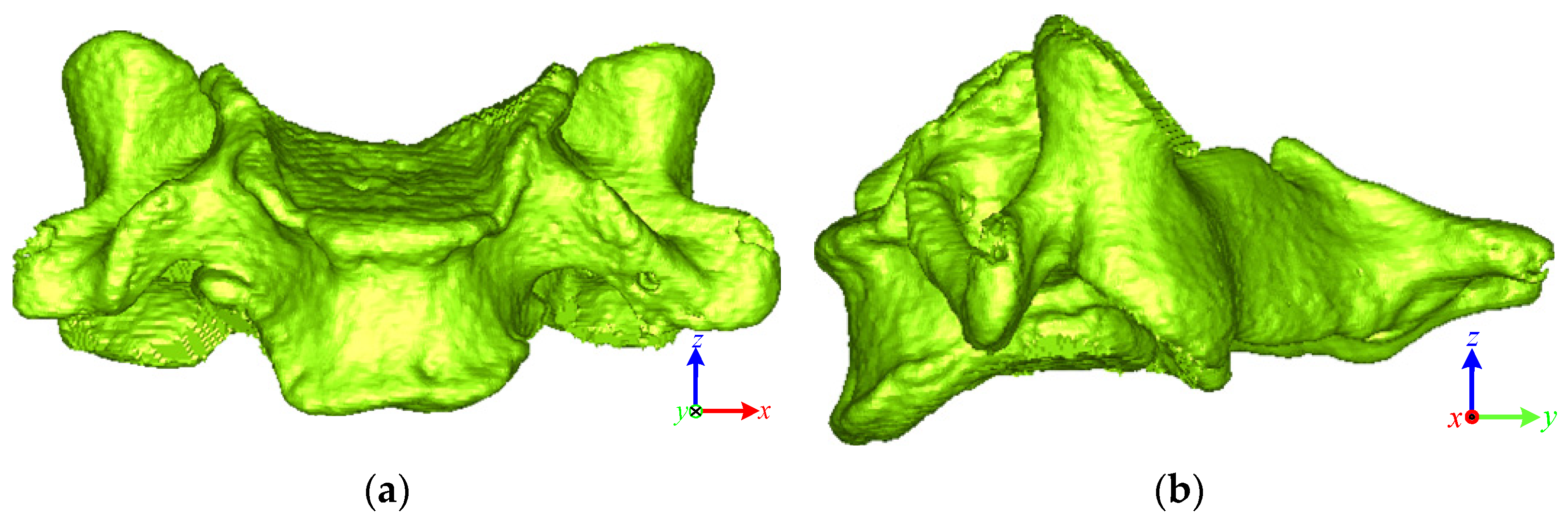 Bioengineering 10 00335 g002