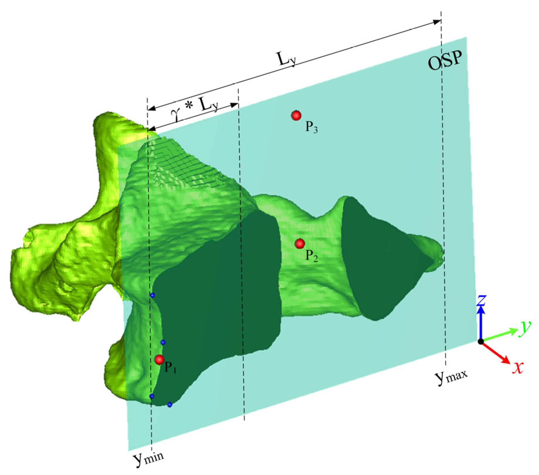 Bioengineering 10 00335 g003