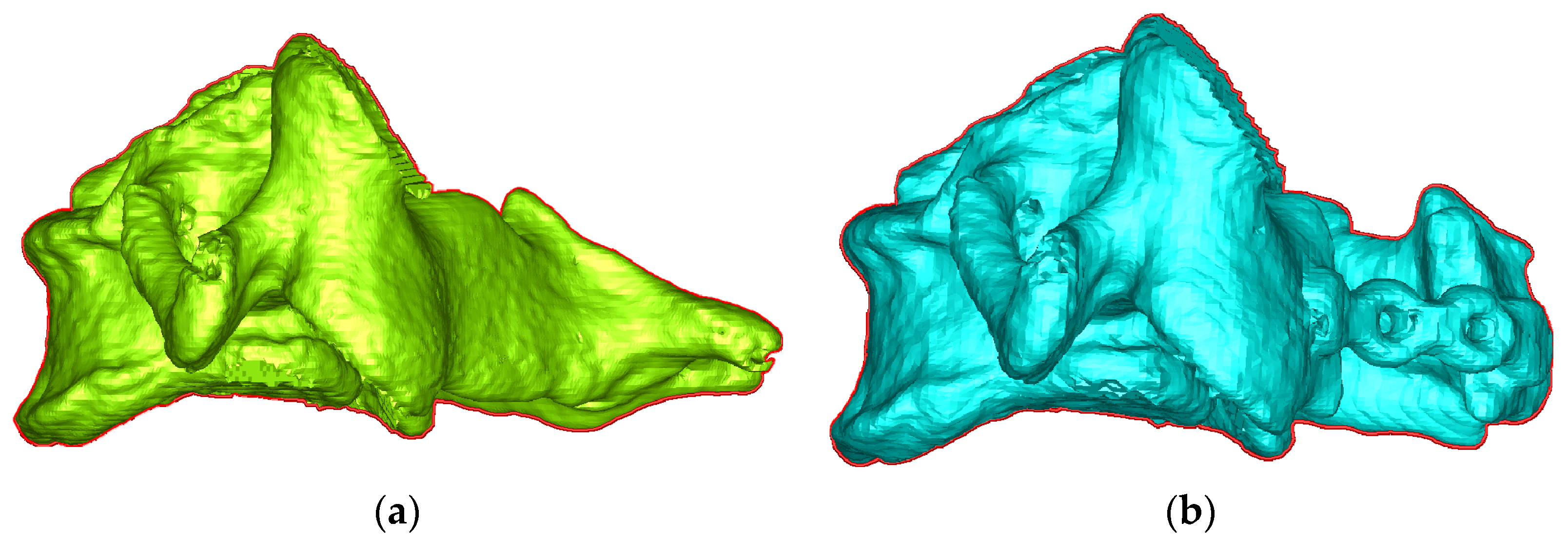 Bioengineering 10 00335 g004