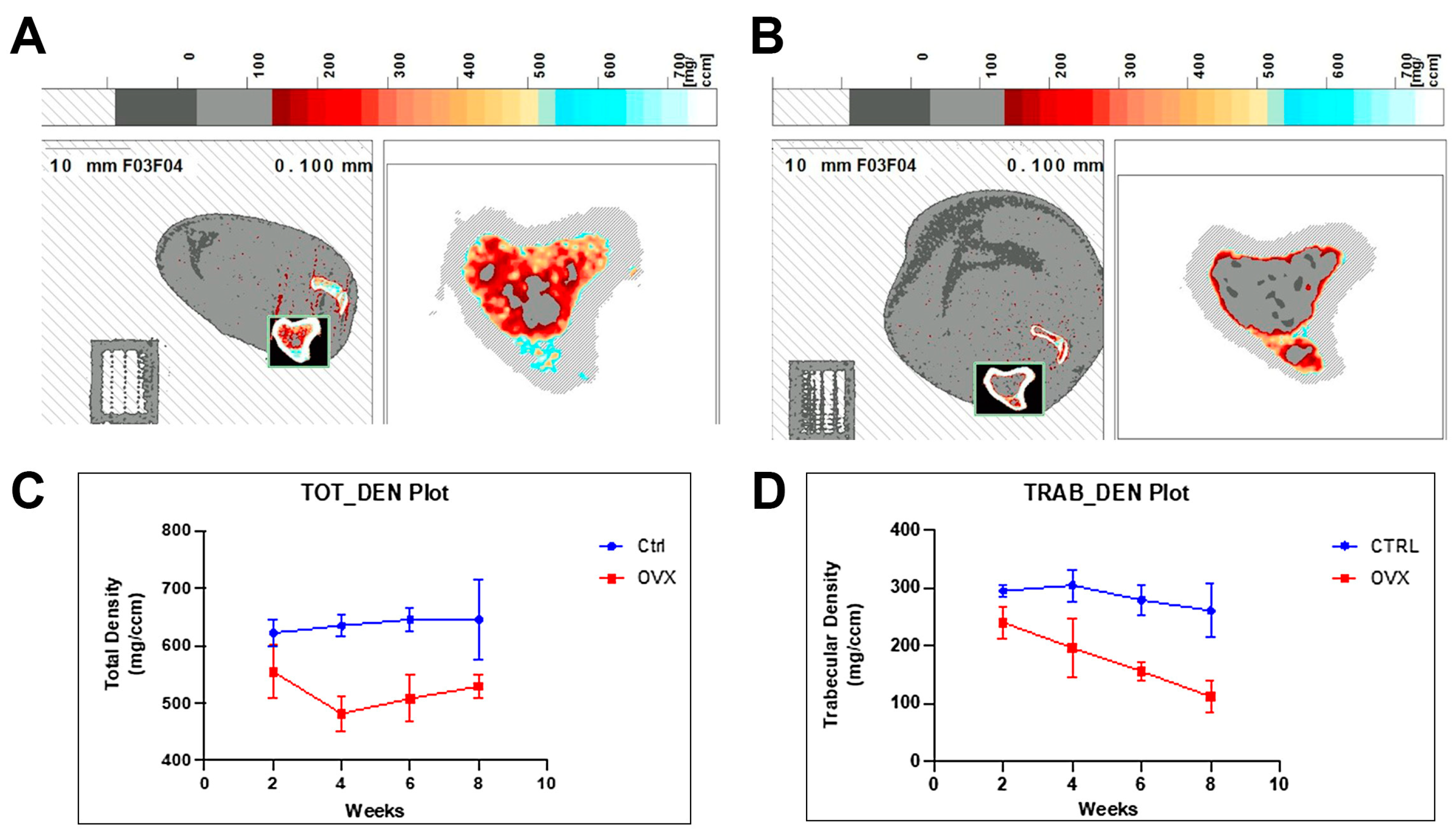 Bioengineering 10 00338 g002 Bioengineering 10 00338 g002