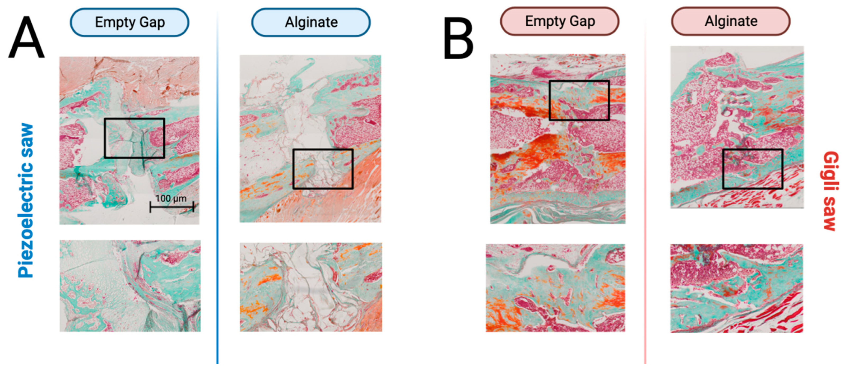 Bioengineering 10 00338 g006 Bioengineering 10 00338 g006