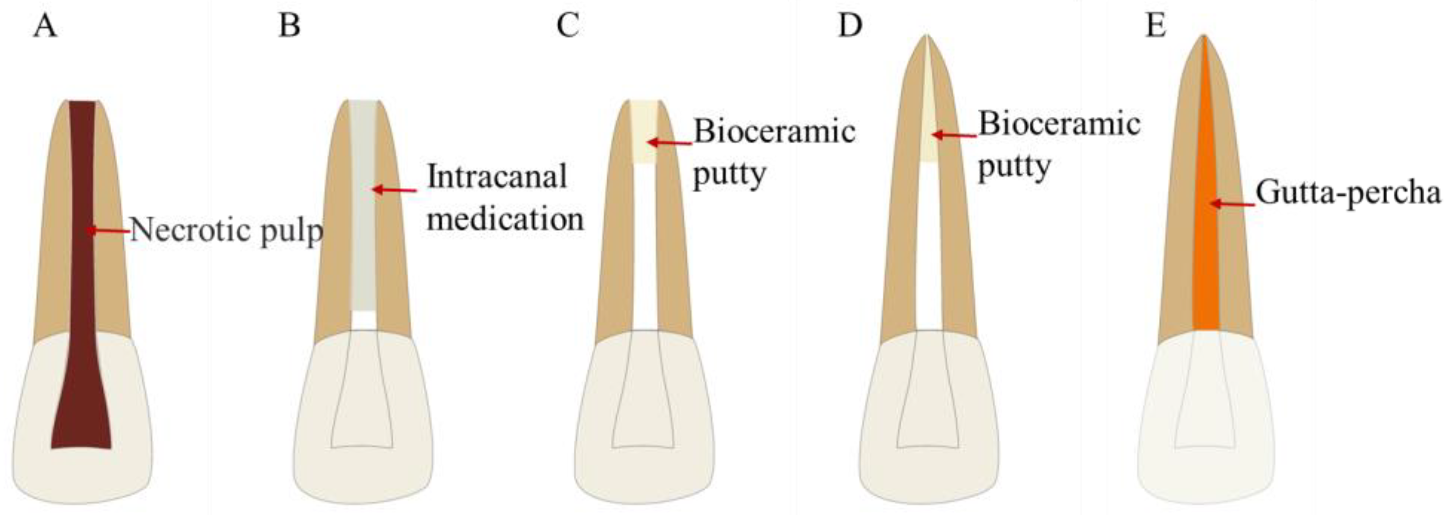 Bioengineering 10 00354 g009 Bioengineering 10 00354 g009