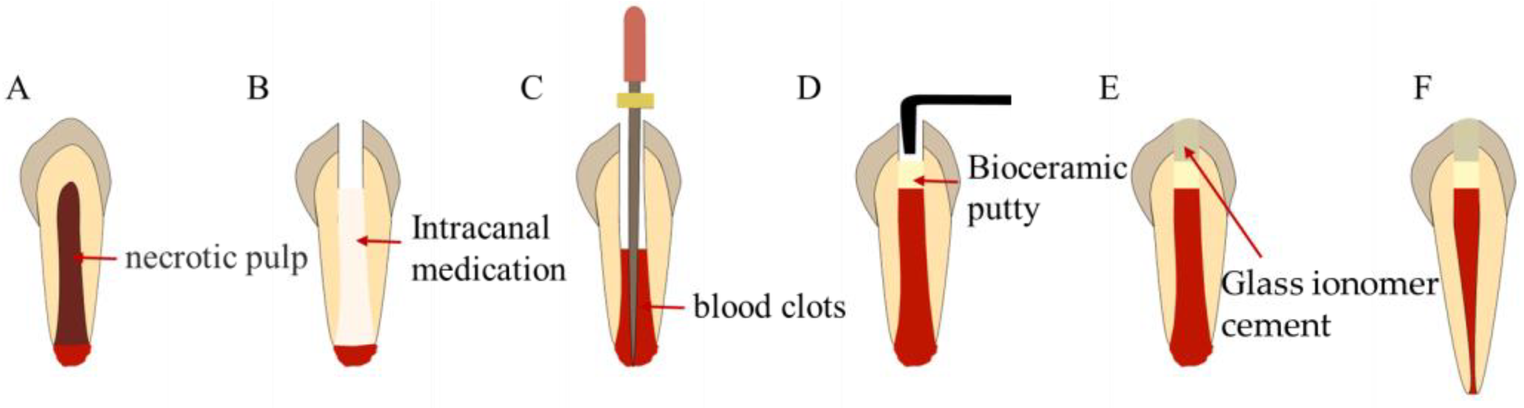 Bioengineering 10 00354 g010 Bioengineering 10 00354 g010
