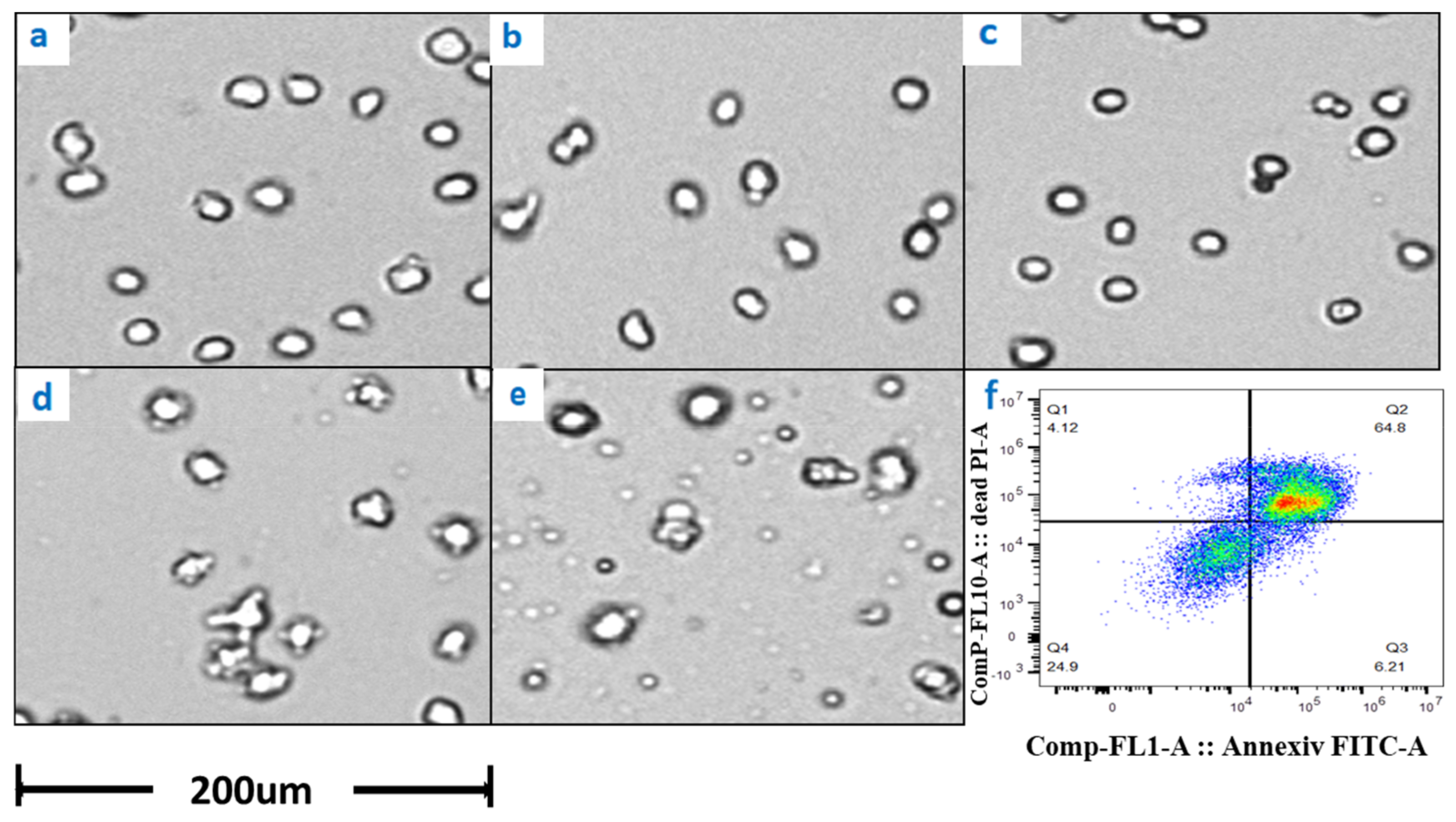 Bioengineering 10 00357 g005 Bioengineering 10 00357 g005