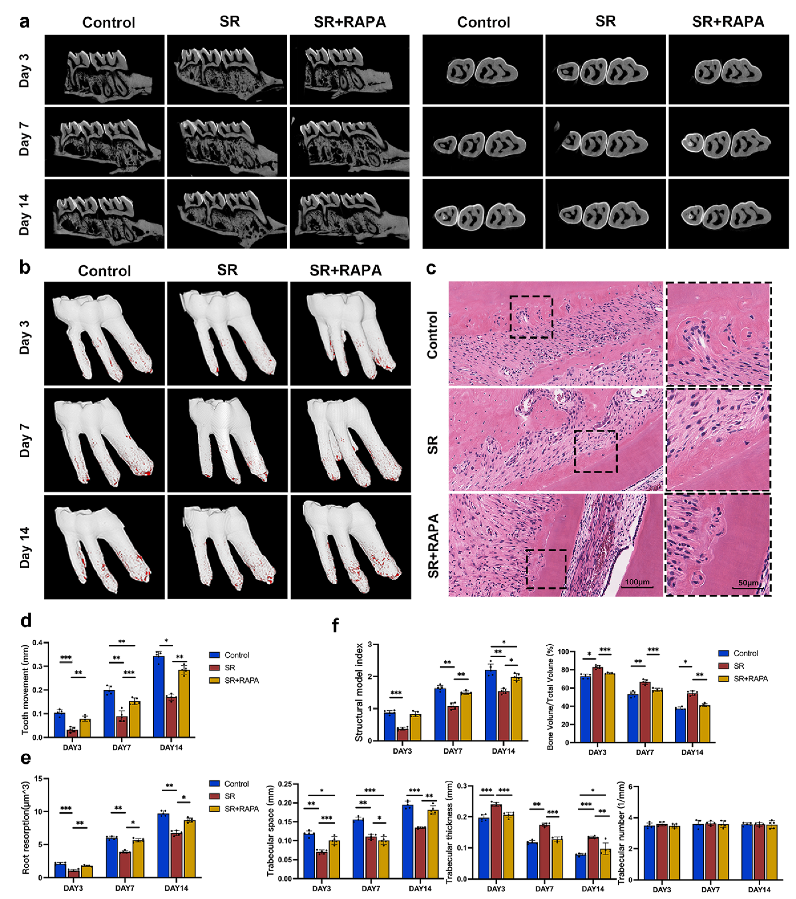 Bioengineering 10 00365 g003 Bioengineering 10 00365 g003