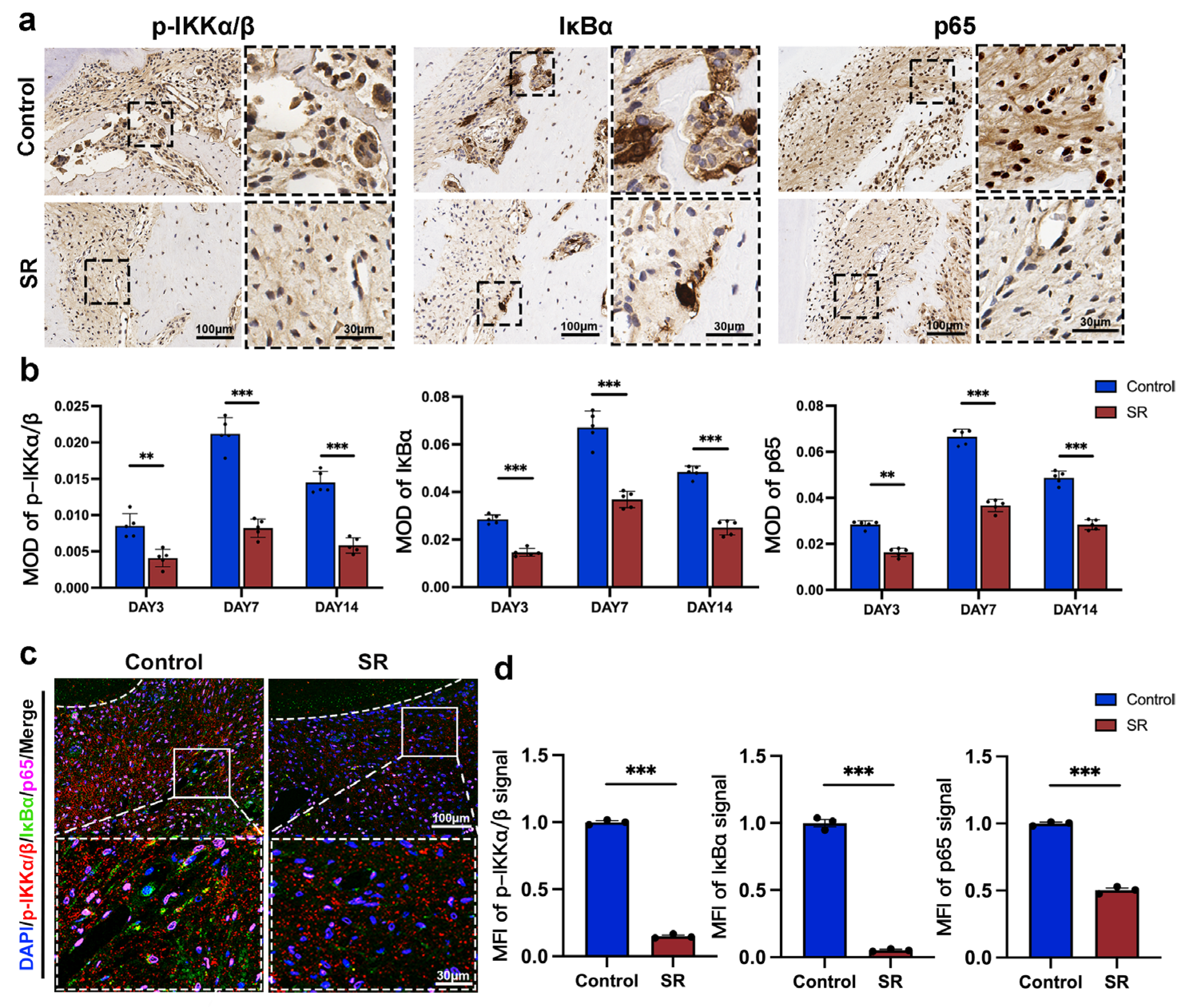 Bioengineering 10 00365 g006 Bioengineering 10 00365 g006
