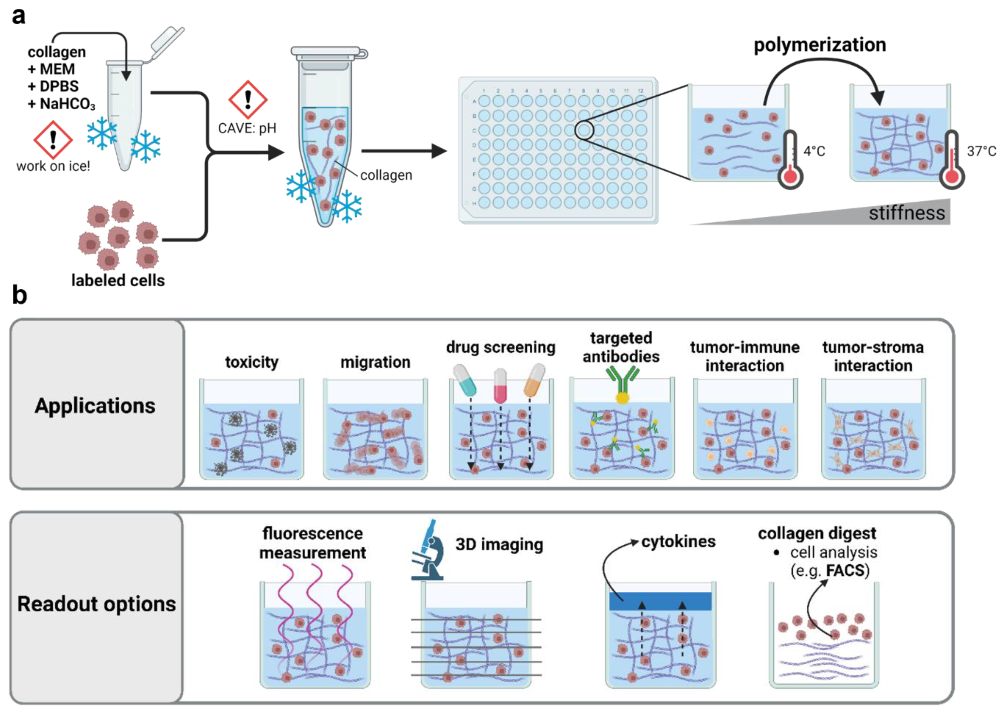 Bioengineering 10 00367 g001 Bioengineering 10 00367 g001