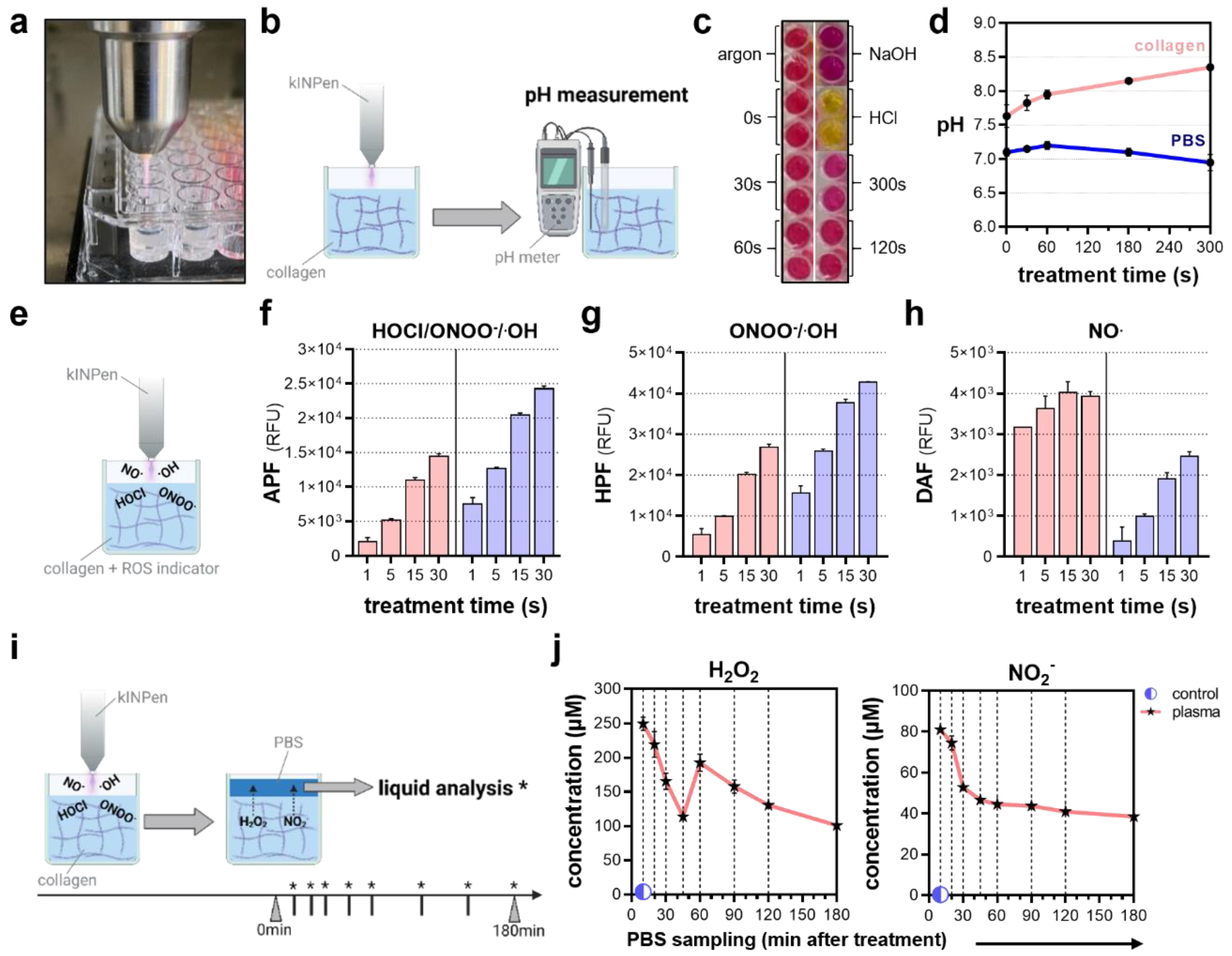 Bioengineering 10 00367 g004 Bioengineering 10 00367 g004