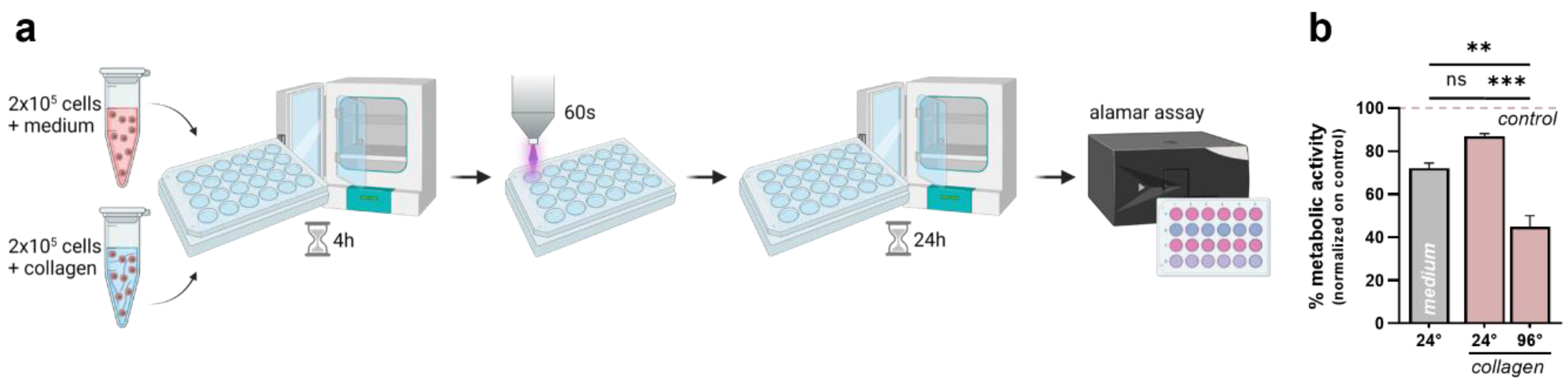 Bioengineering 10 00367 g005 Bioengineering 10 00367 g005