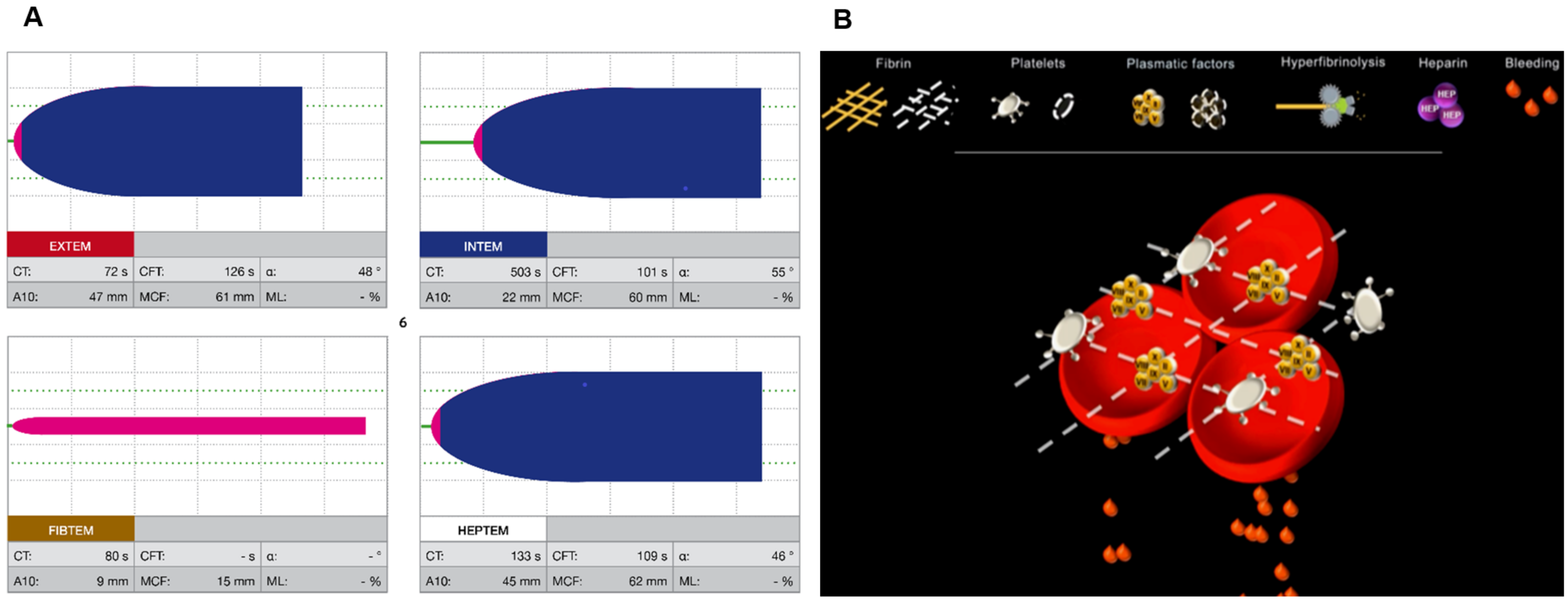 Bioengineering 10 00386 g001 Bioengineering 10 00386 g001