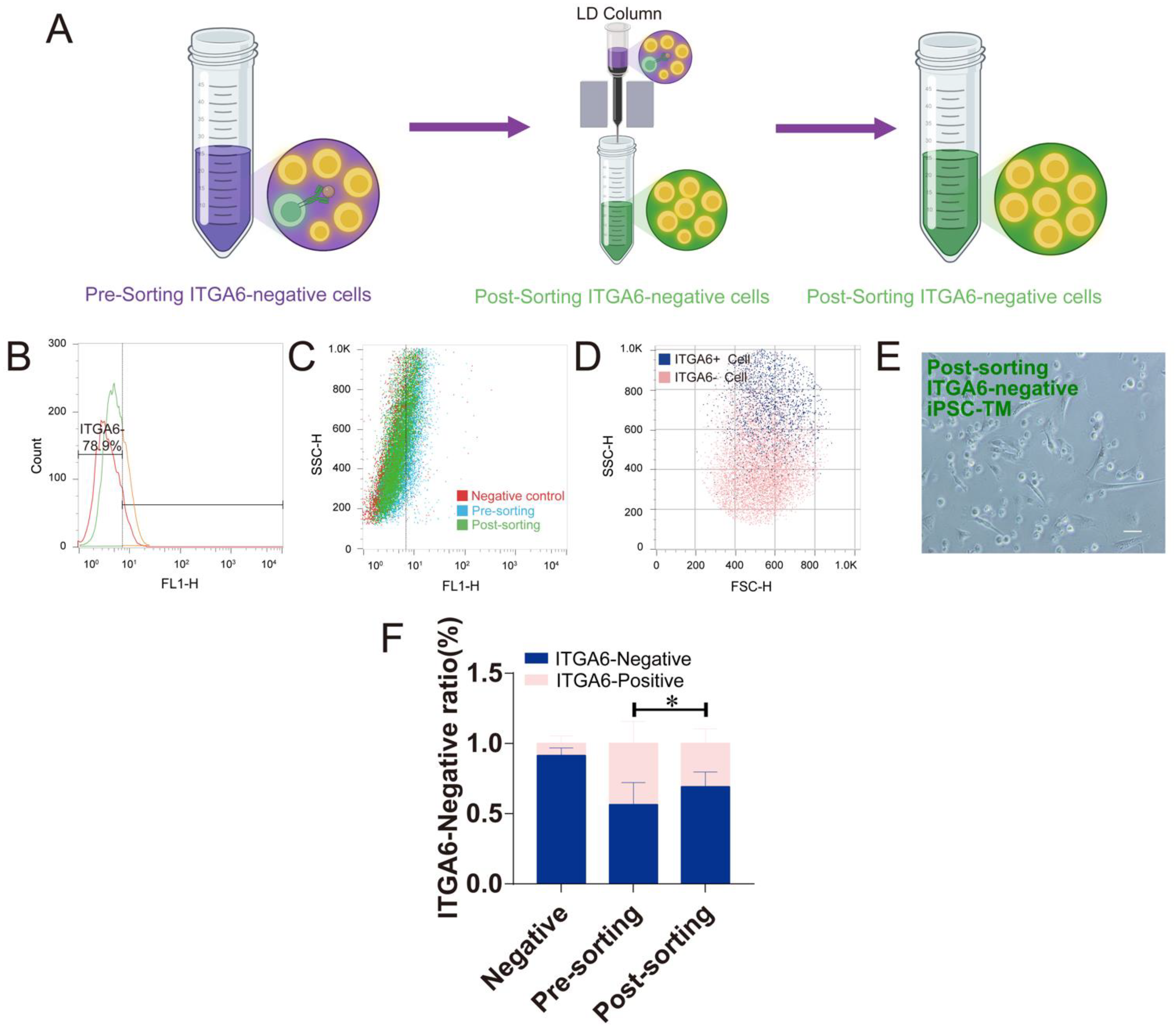 Bioengineering 10 00410 g003