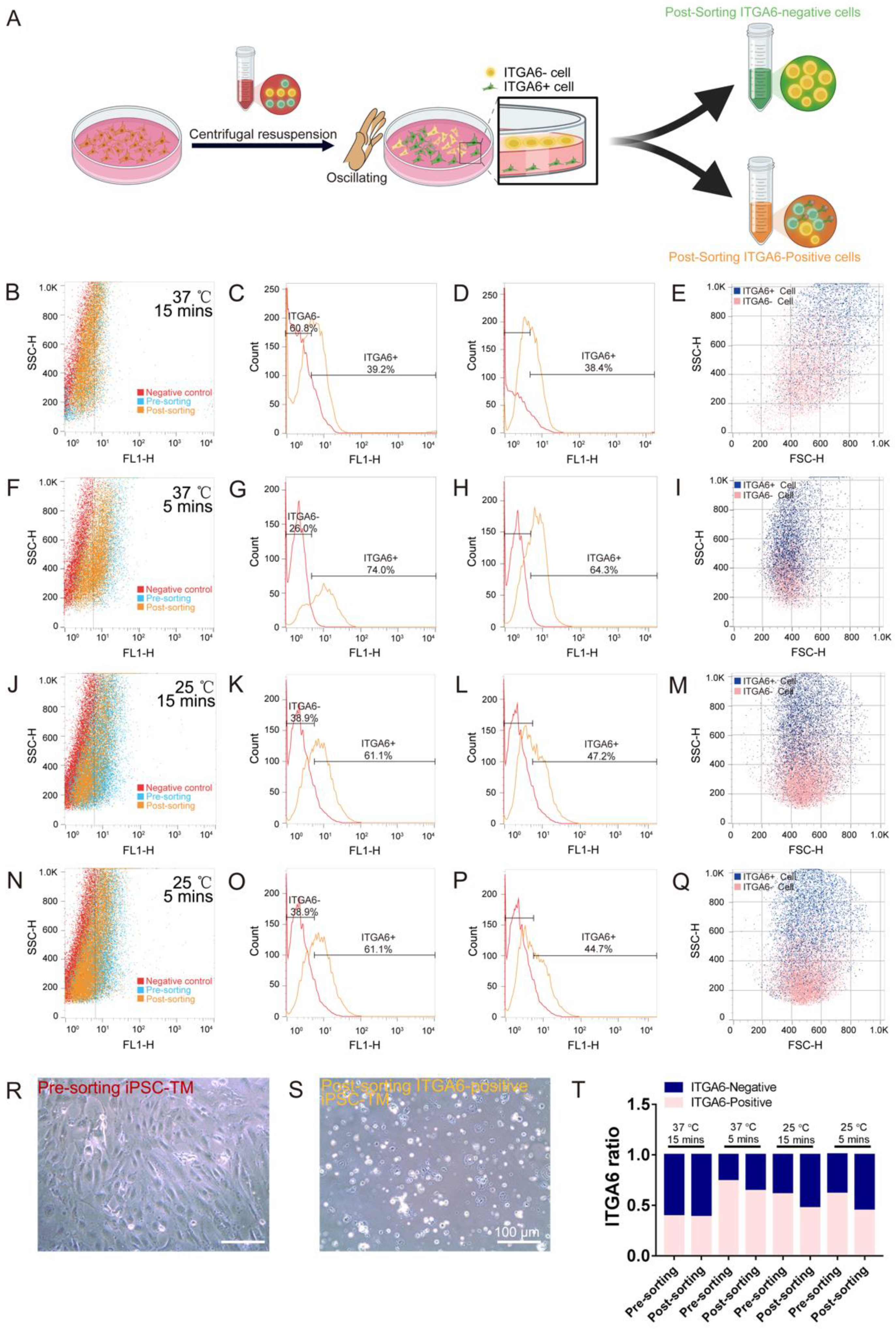 Bioengineering 10 00410 g004