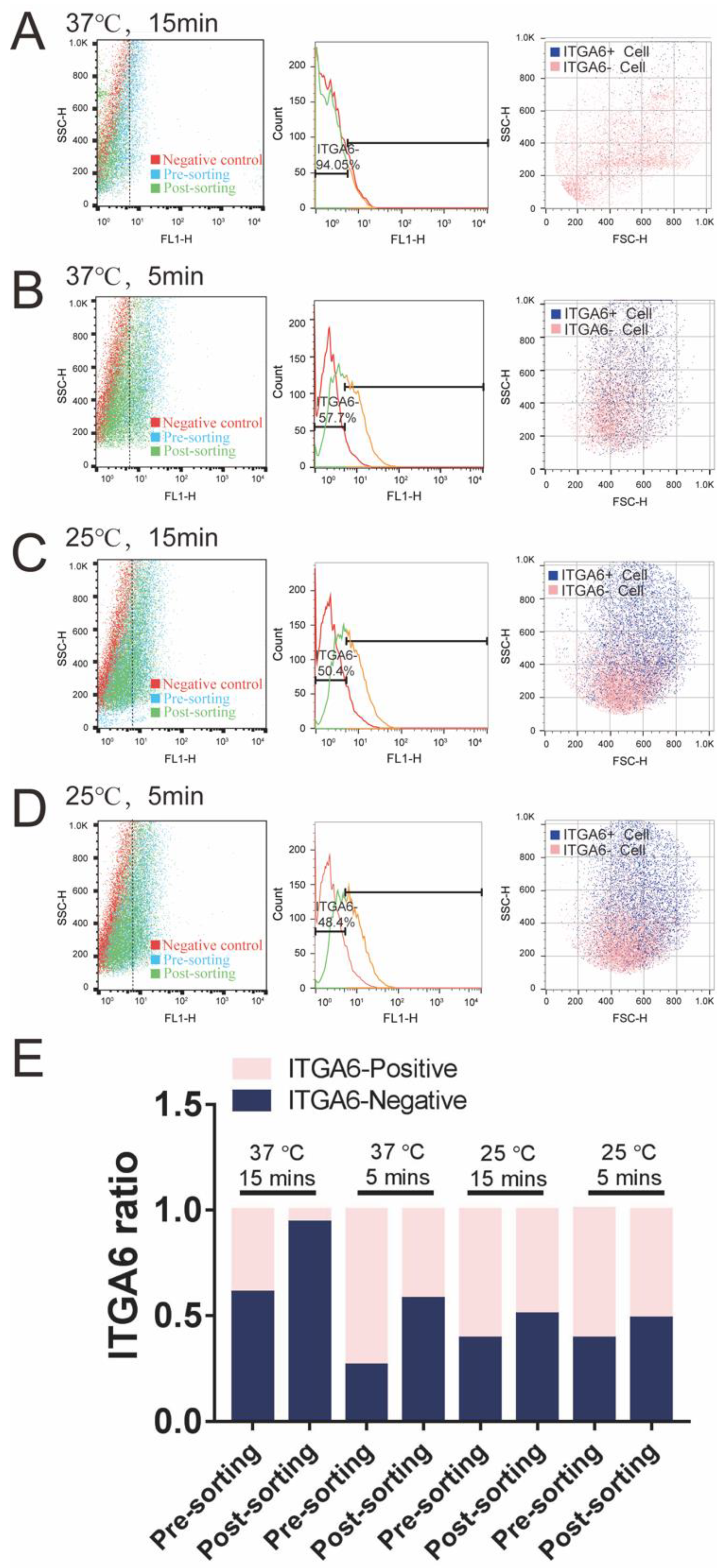 Bioengineering 10 00410 g005