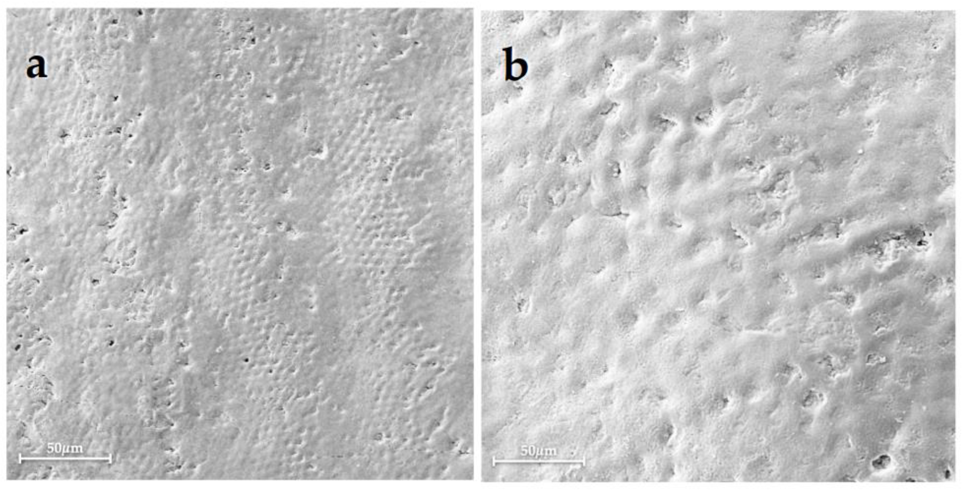 Bioengineering 10 00462 g001 Bioengineering 10 00462 g001