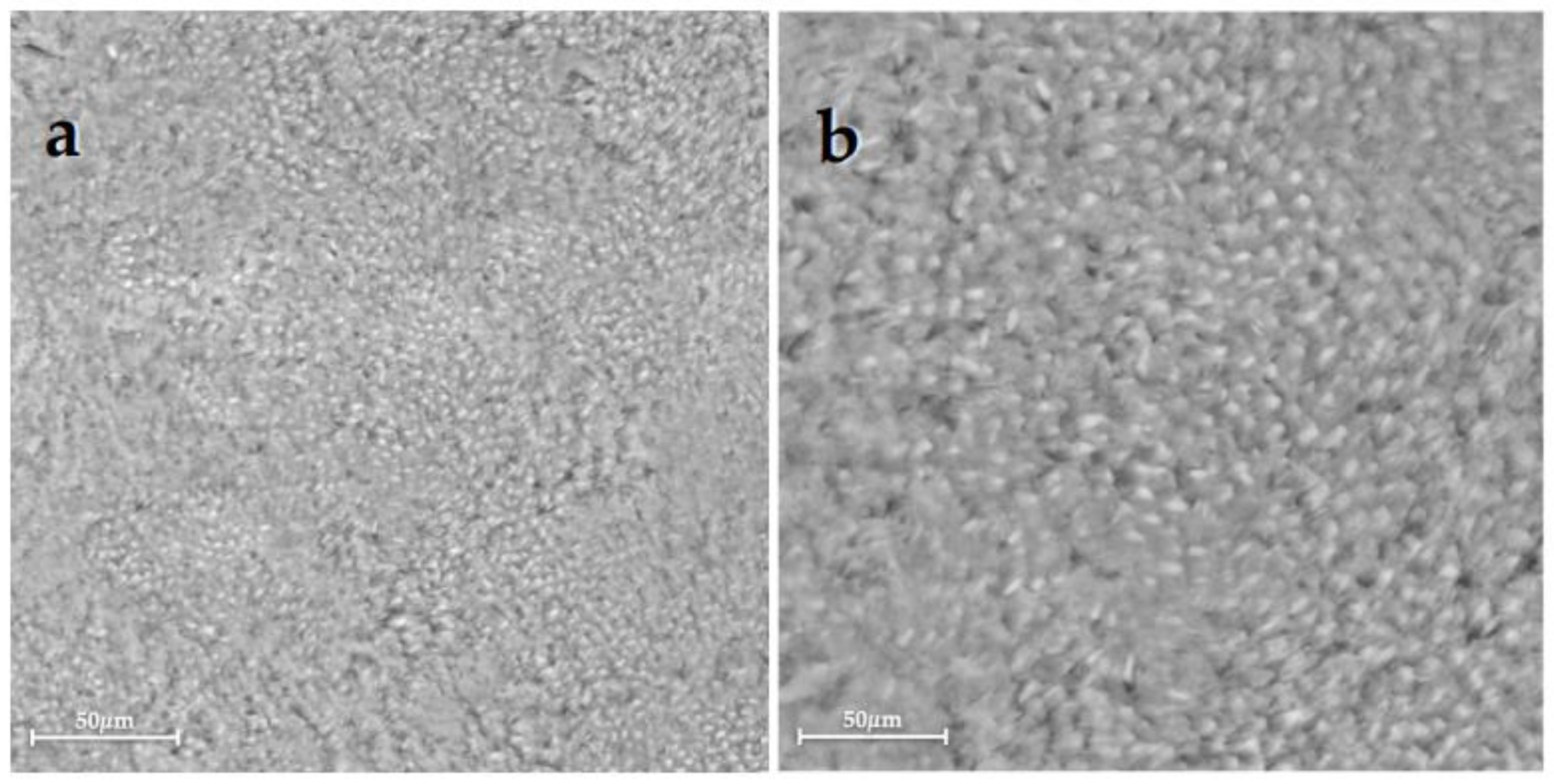 Bioengineering 10 00462 g004 Bioengineering 10 00462 g004
