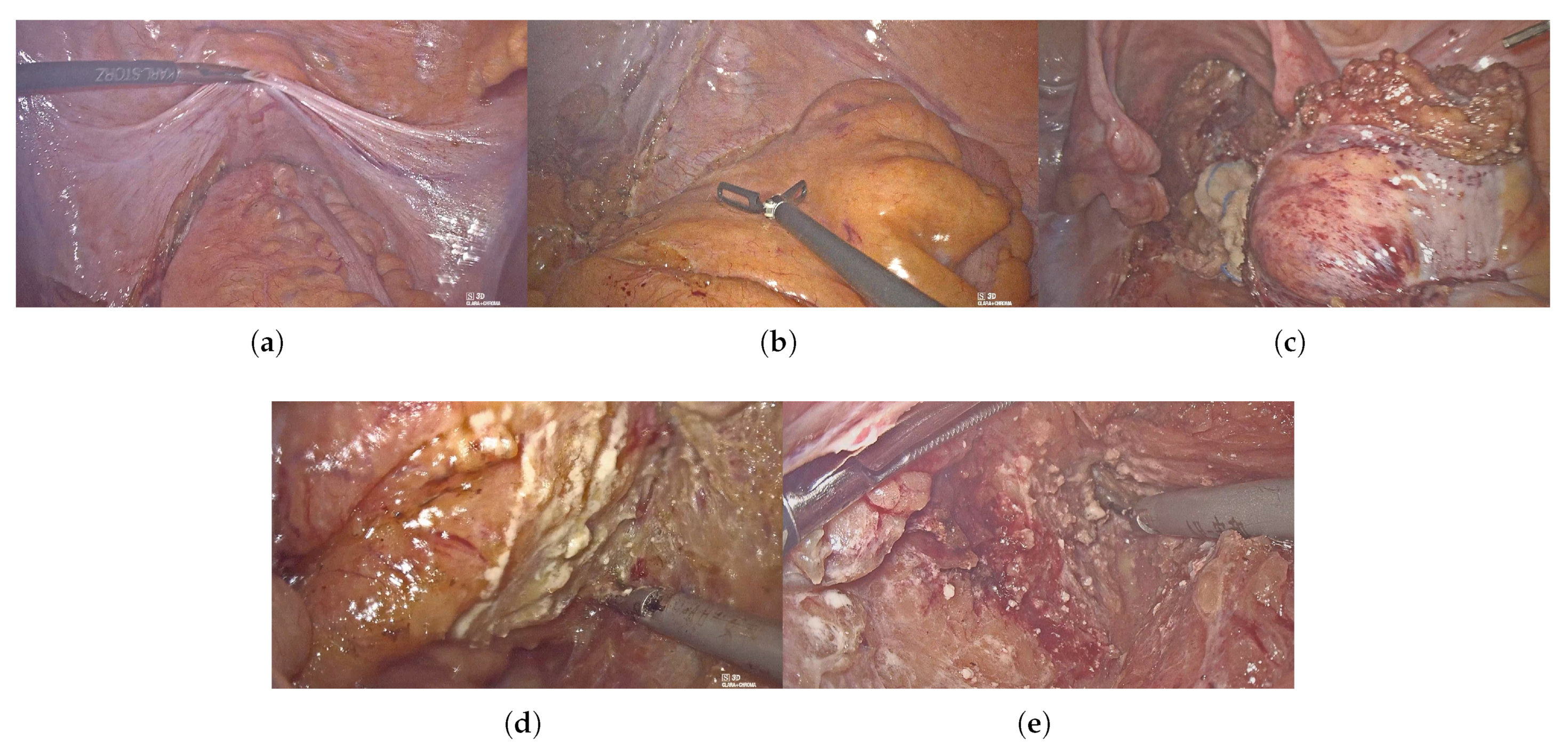 Bioengineering 10 00468 g002 Bioengineering 10 00468 g002