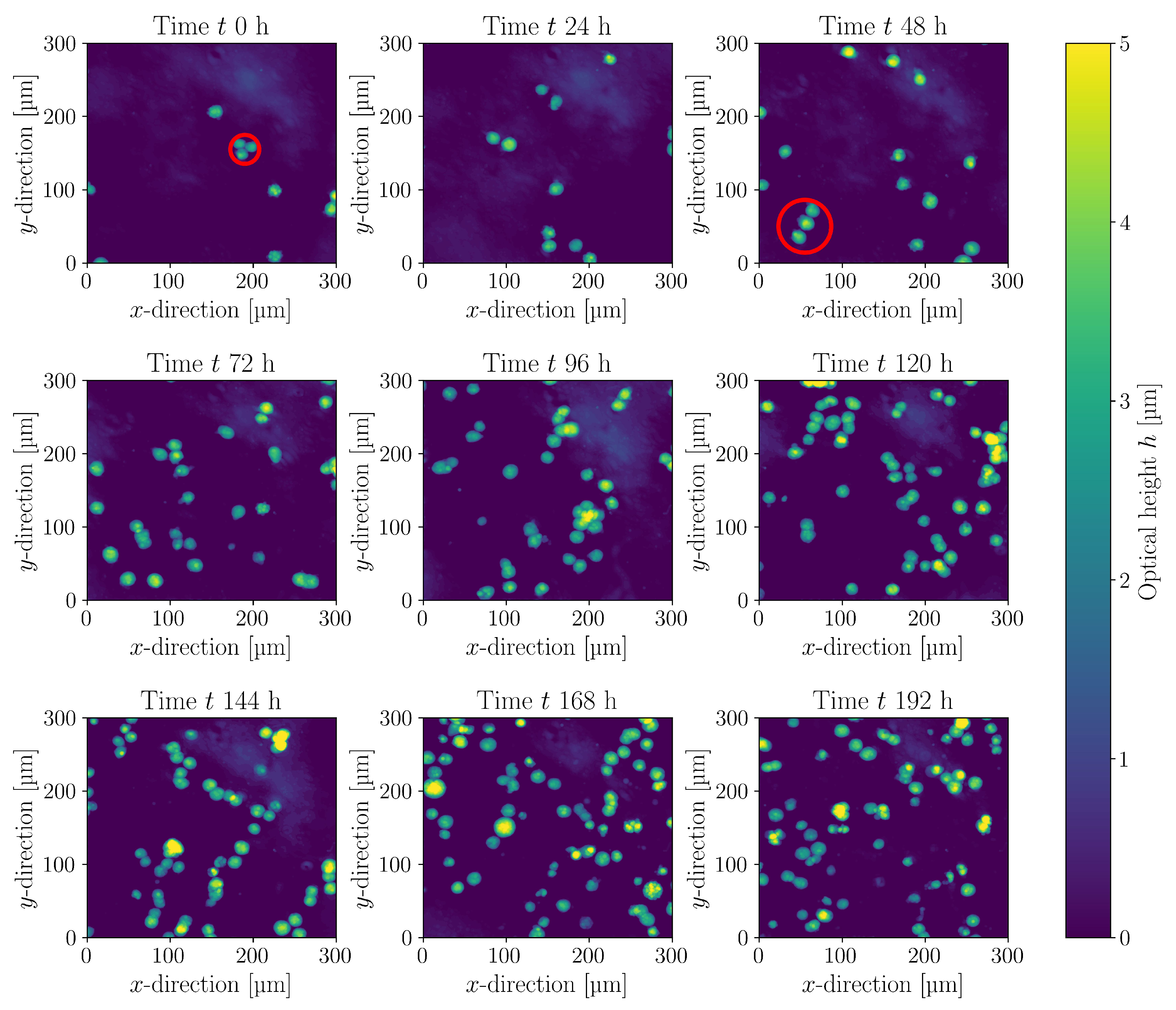 Bioengineering 10 00478 g011 Bioengineering 10 00478 g011