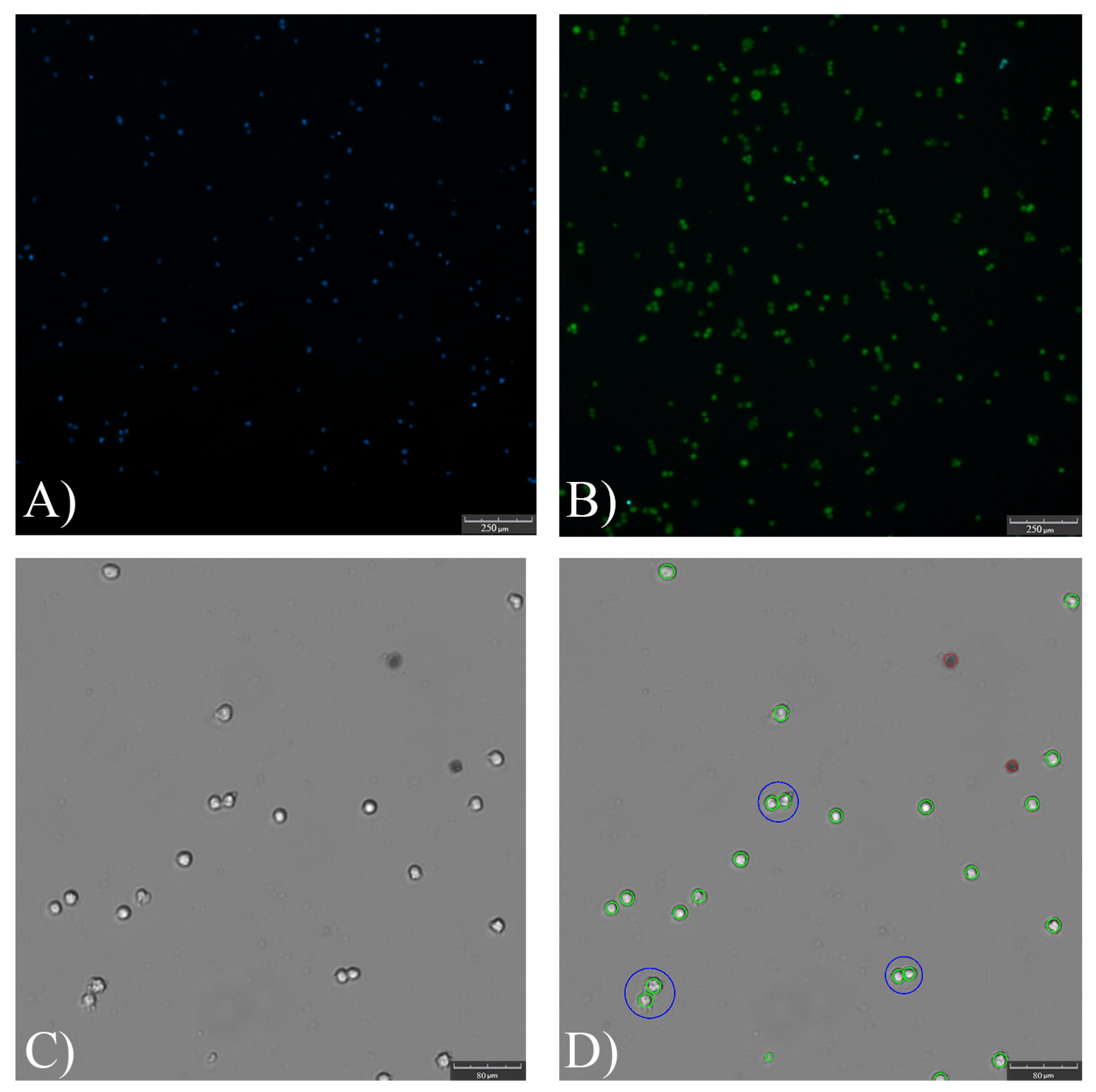Bioengineering 10 00478 g0a1 Bioengineering 10 00478 g0a1