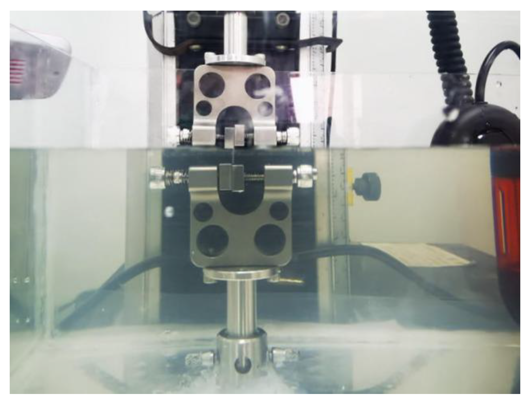 Bioengineering 10 00479 g001 Bioengineering 10 00479 g001