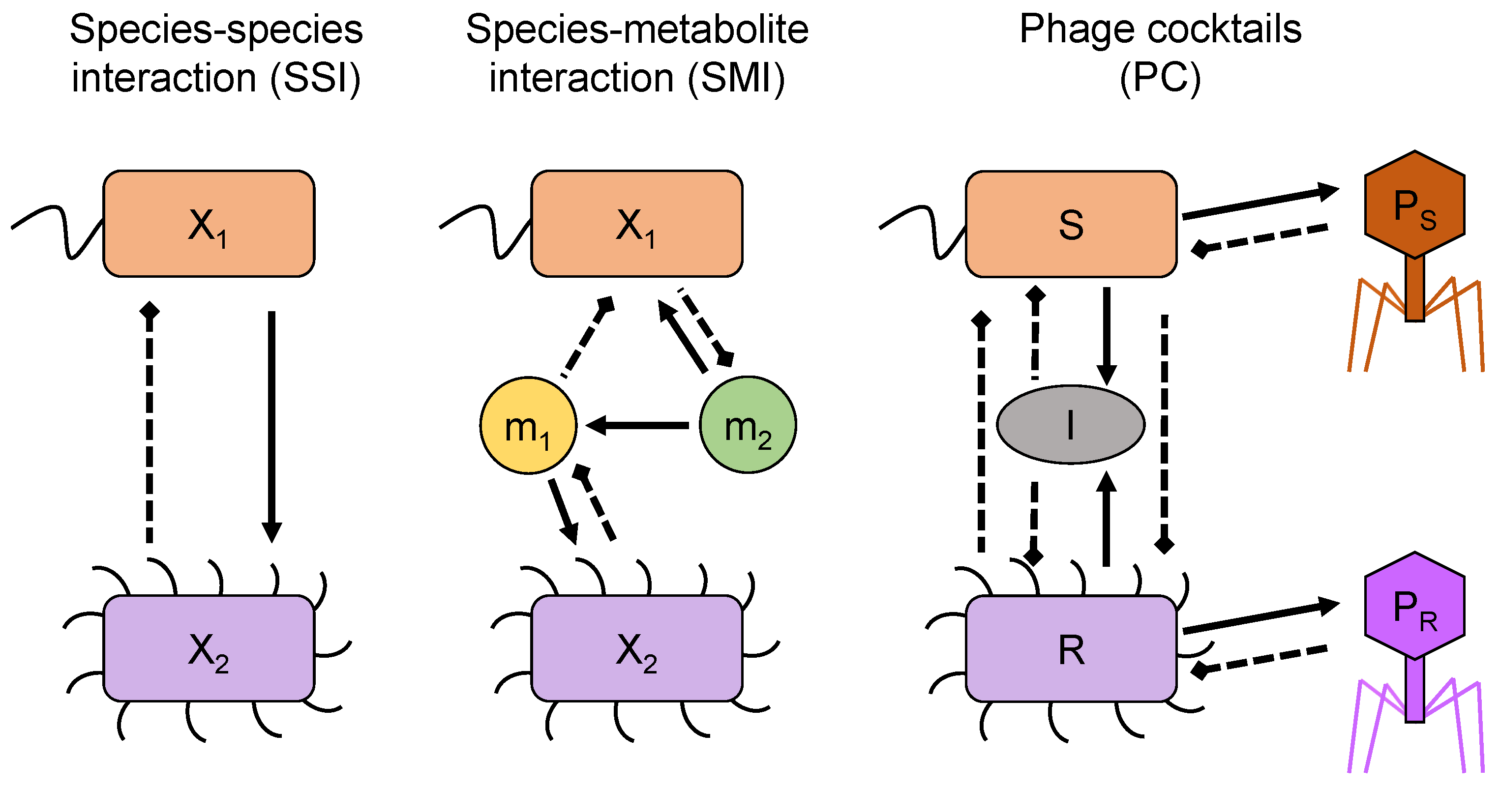 Bioengineering 10 00483 g001